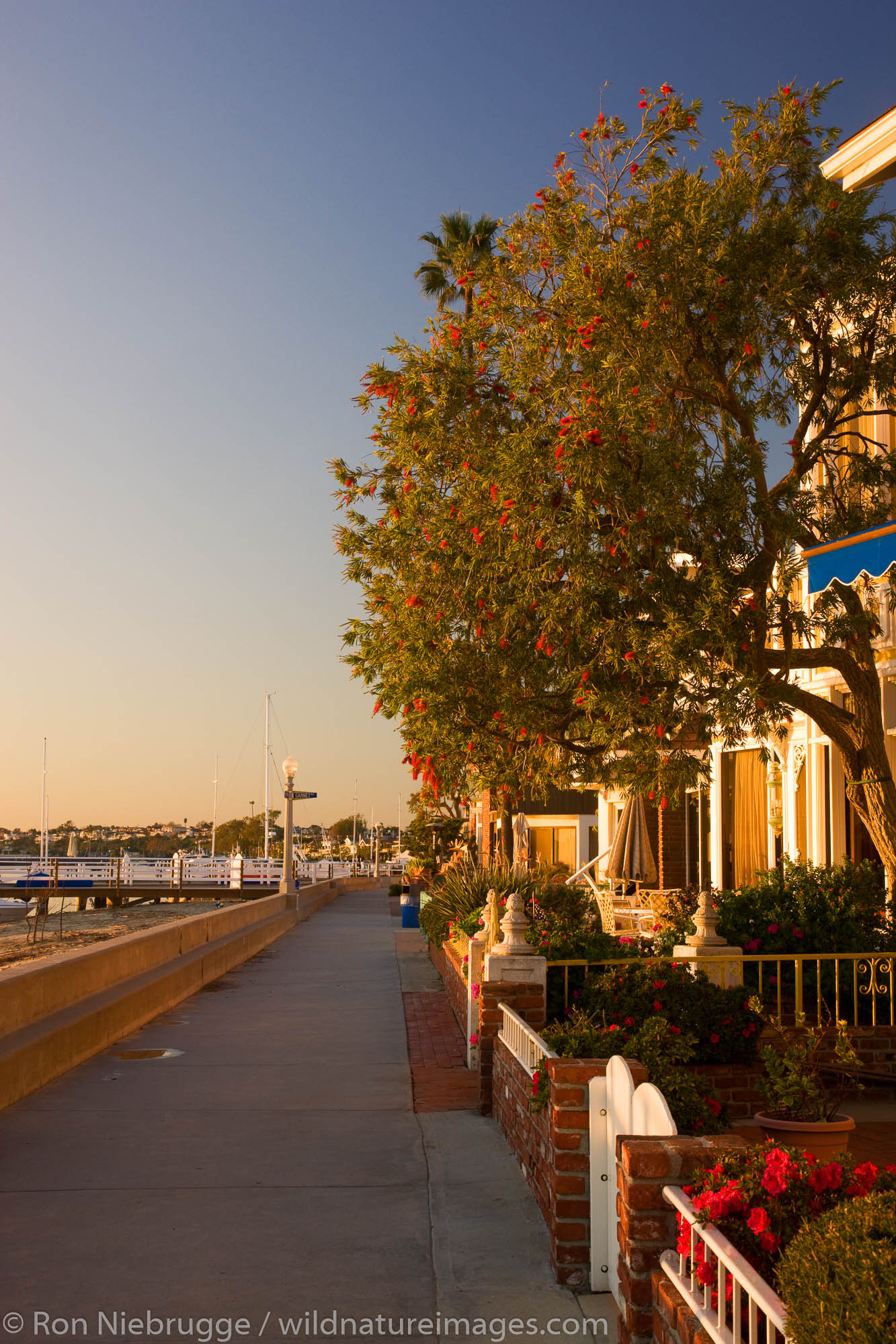 Scenic walkway around Balboa Island, Newport Beach, Orange County, California.