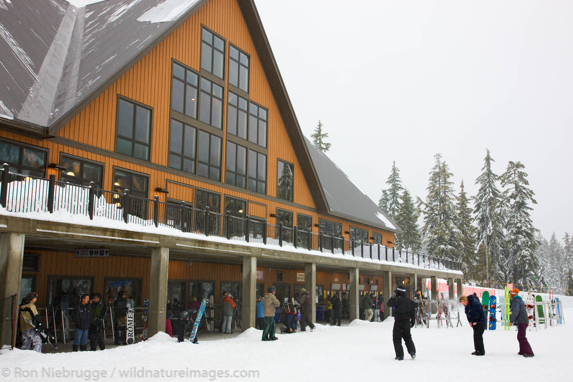 Whistler For Sale