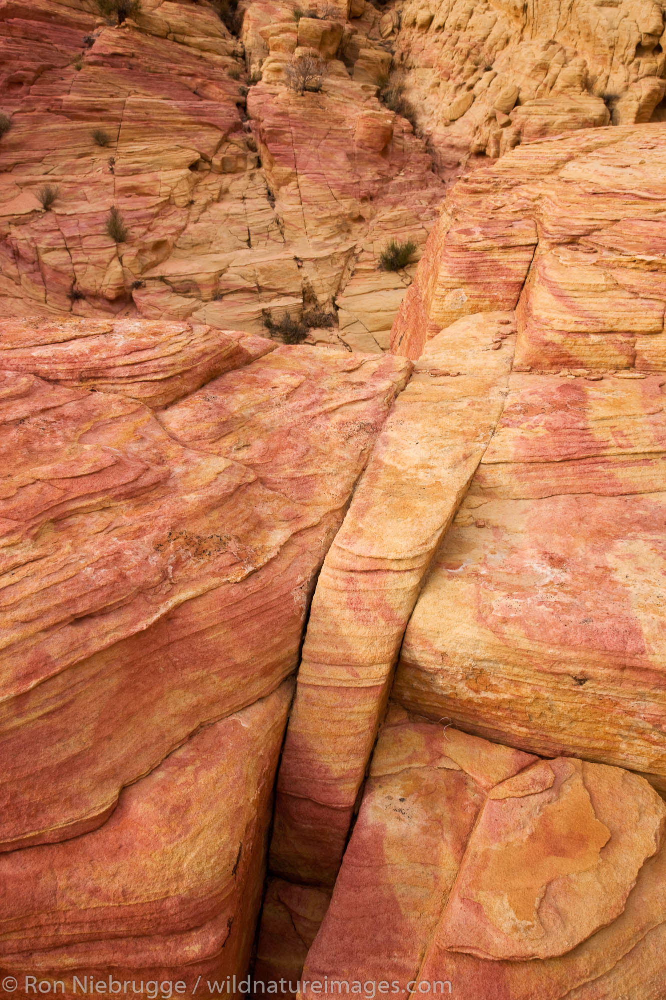 Valley of Fire State Park, about a hour from Las Vegas, Nevada.