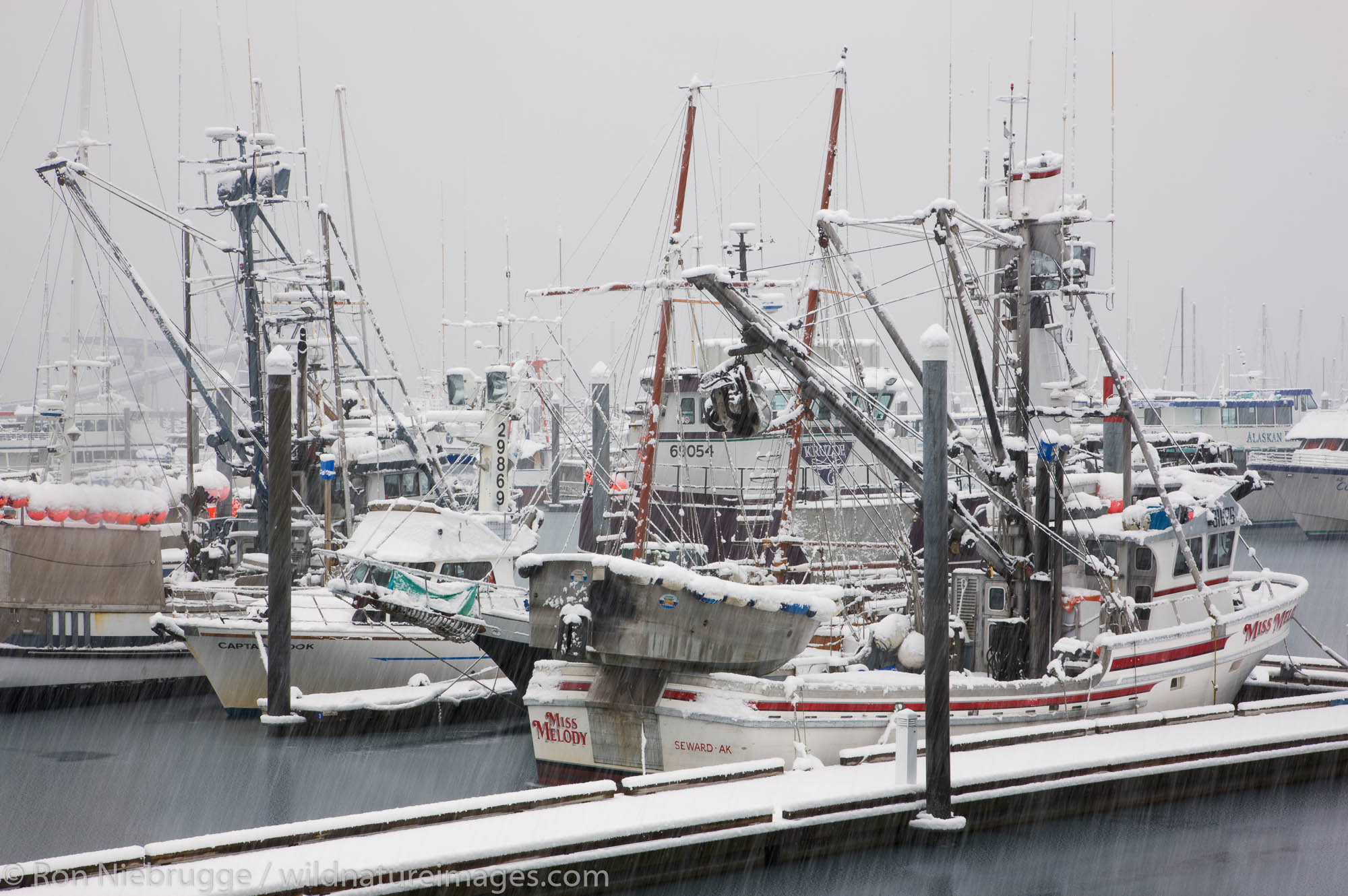 Seward Boat Harbor during a winter snow storm, Alaska.