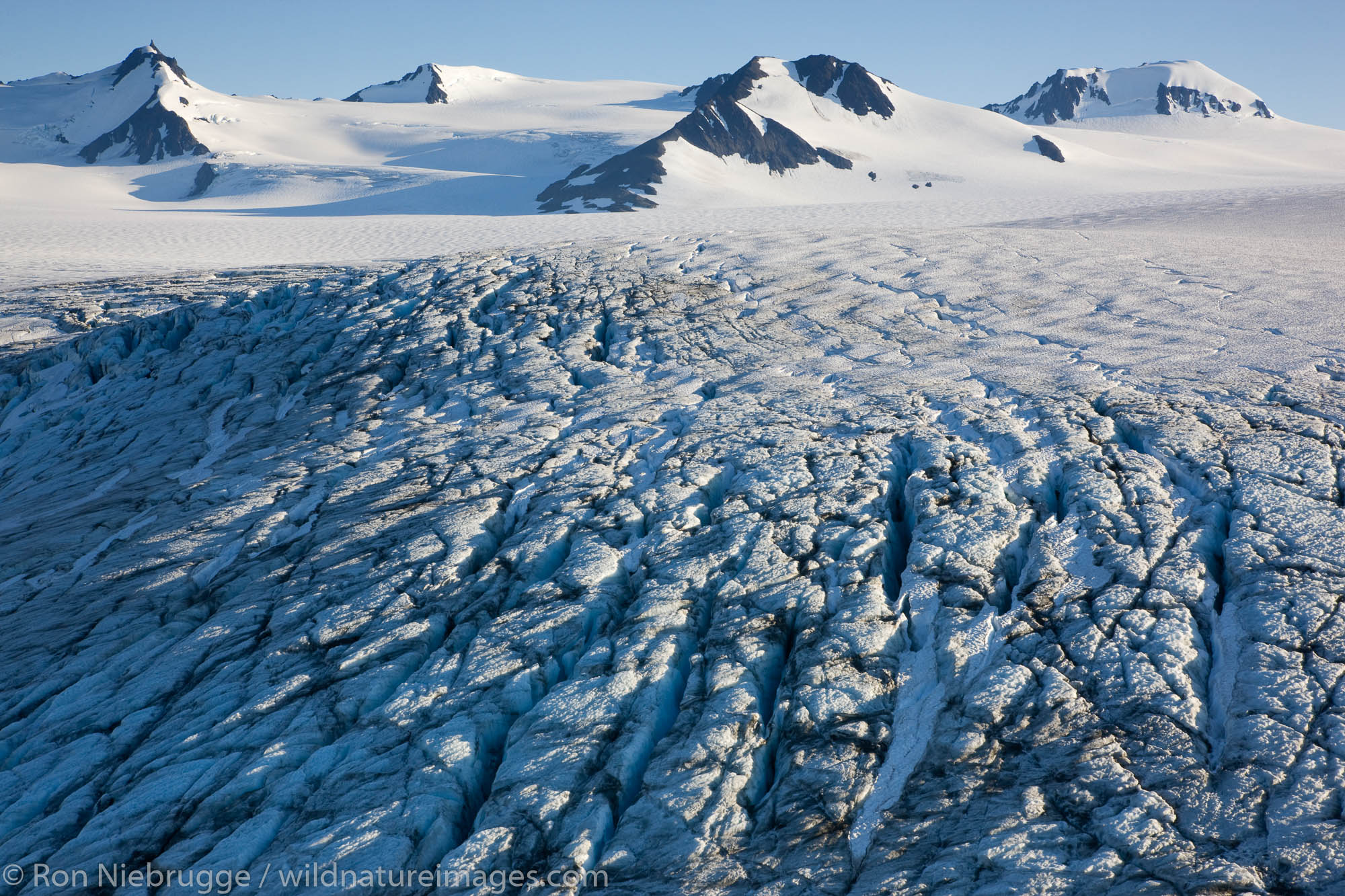 Harding Icefield, Kenai Fjords National Park, Alaska.