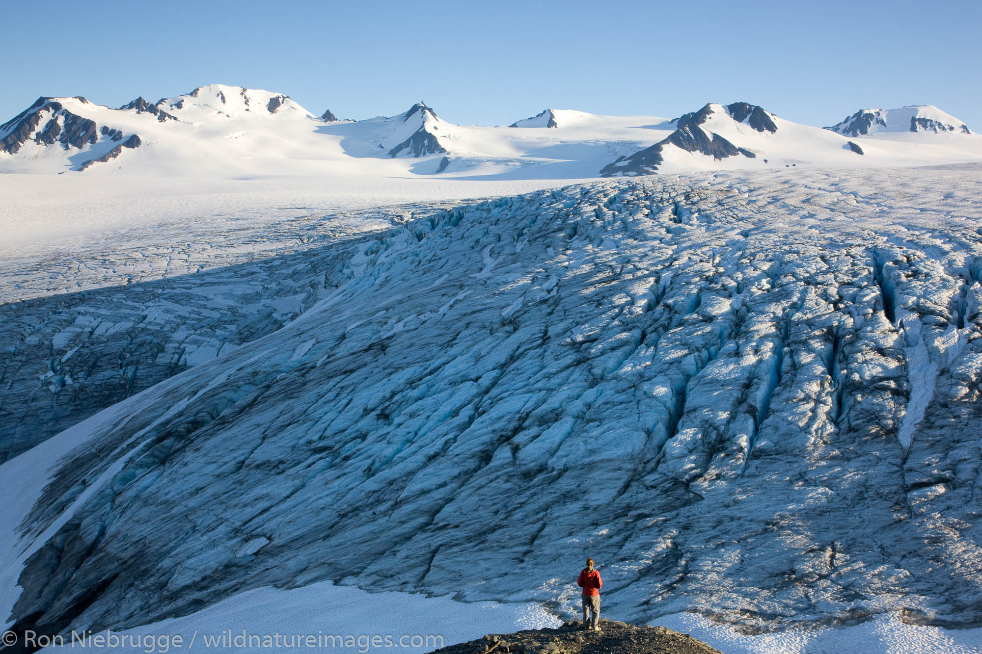 A hiker views the Harding Icefield, Kenai Fjords National Park, Alaska. (model released)