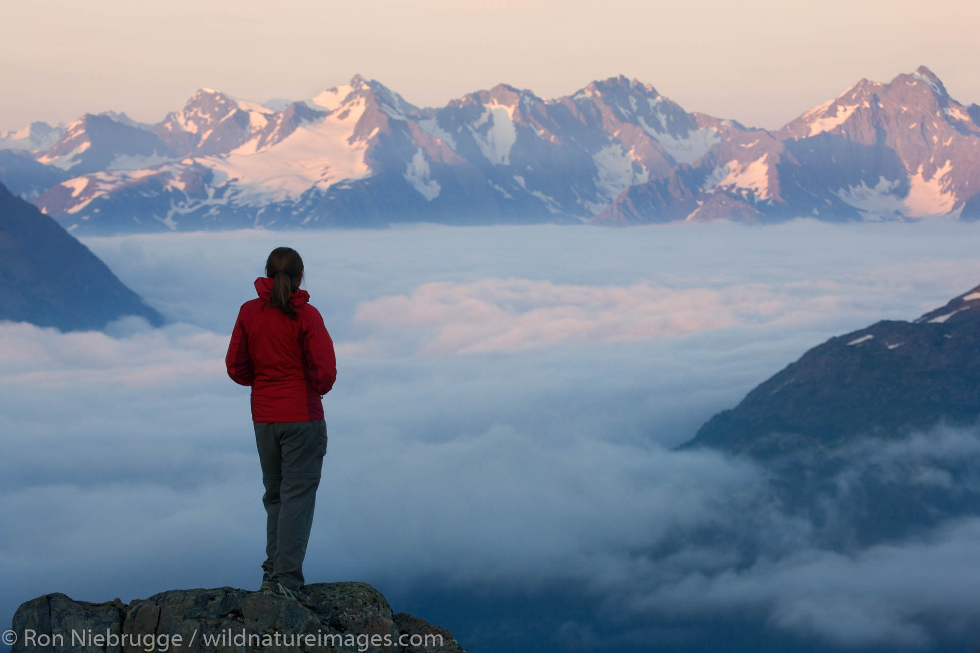 A hiker views the Harding Icefield, Kenai Fjords National Park, Alaska. (model released)