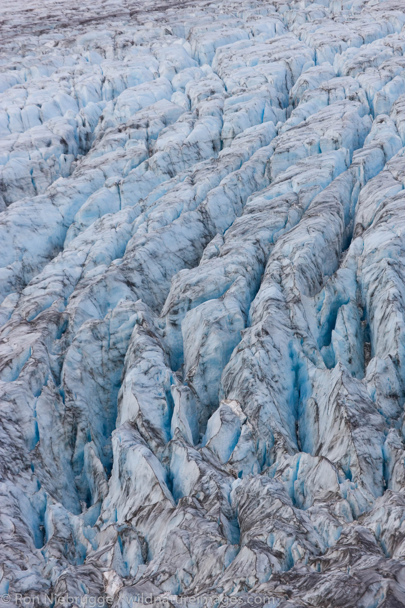 Closeup of Exit Glacier from the Harding Icefield Trail, Kenai Fjords National Park, Alaska.