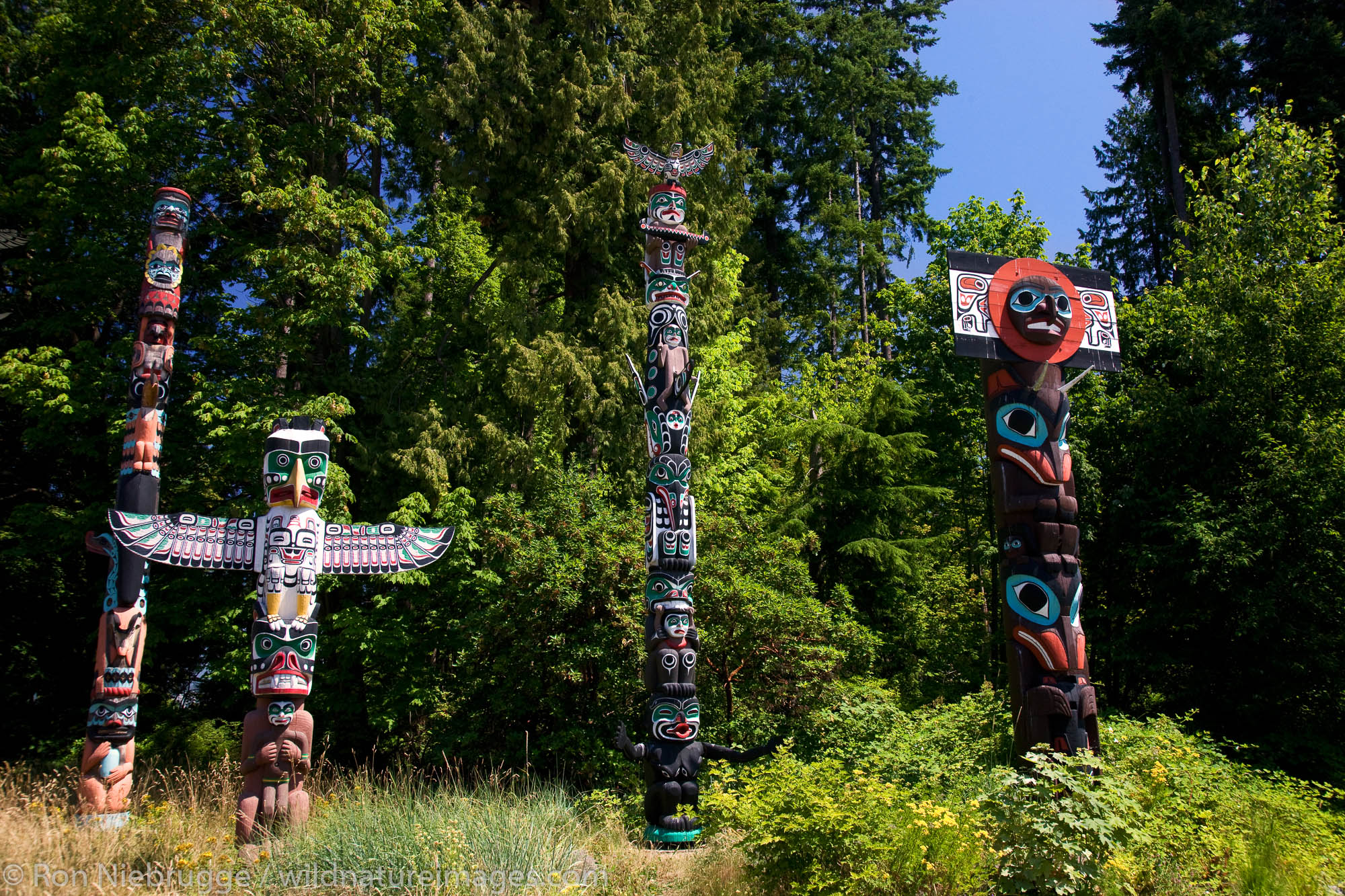 Totem Poles in Stanley Park, Vancouver, British Columbia, Canada.