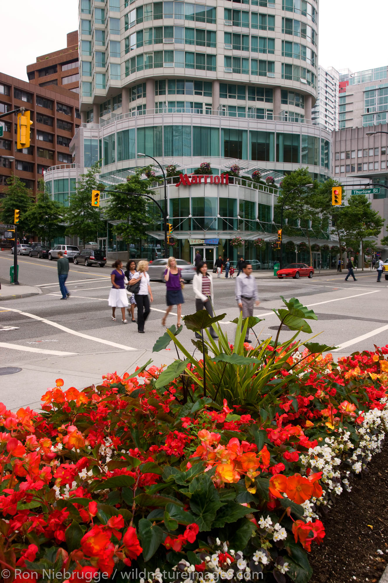A park in downtown Vancouver, British Columbia, Canada.