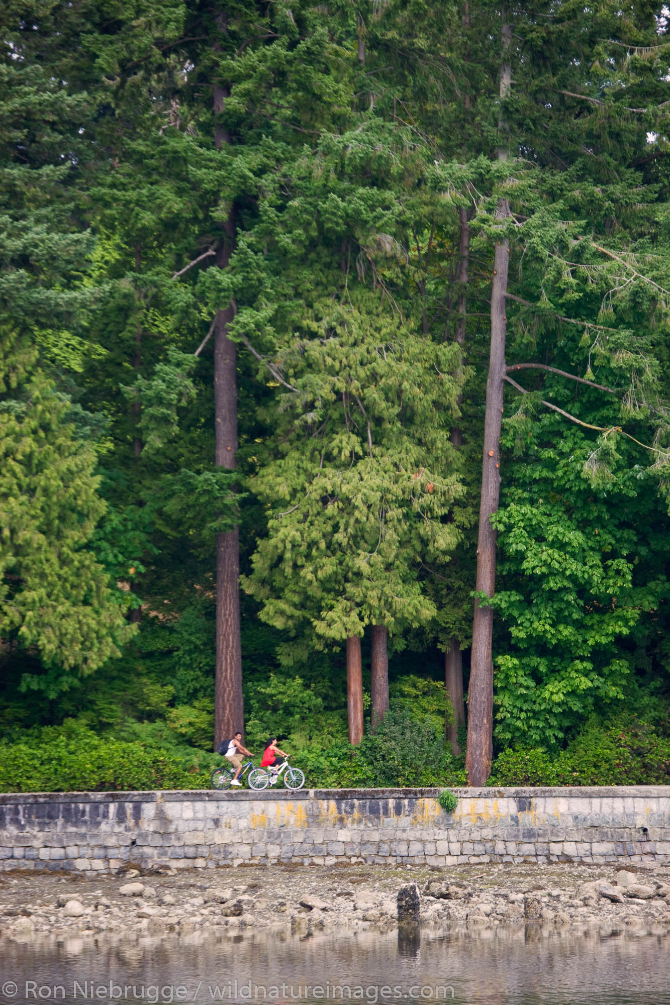 Coastal trail along Stanley Park, Vancouver, British Columbia, Canada.