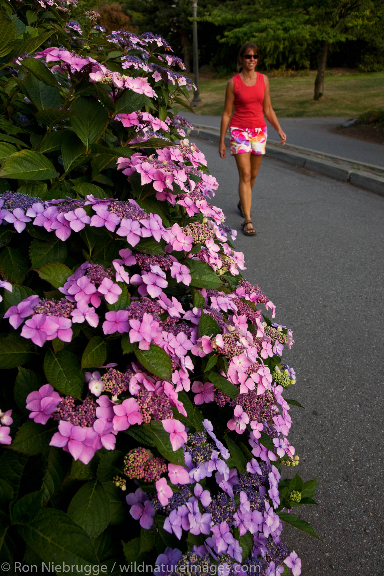 Walking the coastal trail along Stanley Park, Vancouver, British Columbia, Canada.  (model released)