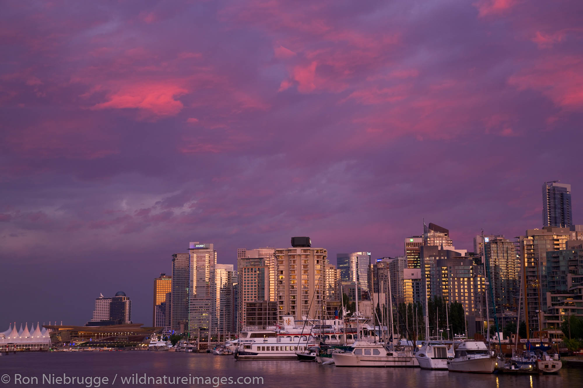 Downtown Vancouver and Coal Harbour at sunset, Vancouver, British Columbia, Canada.