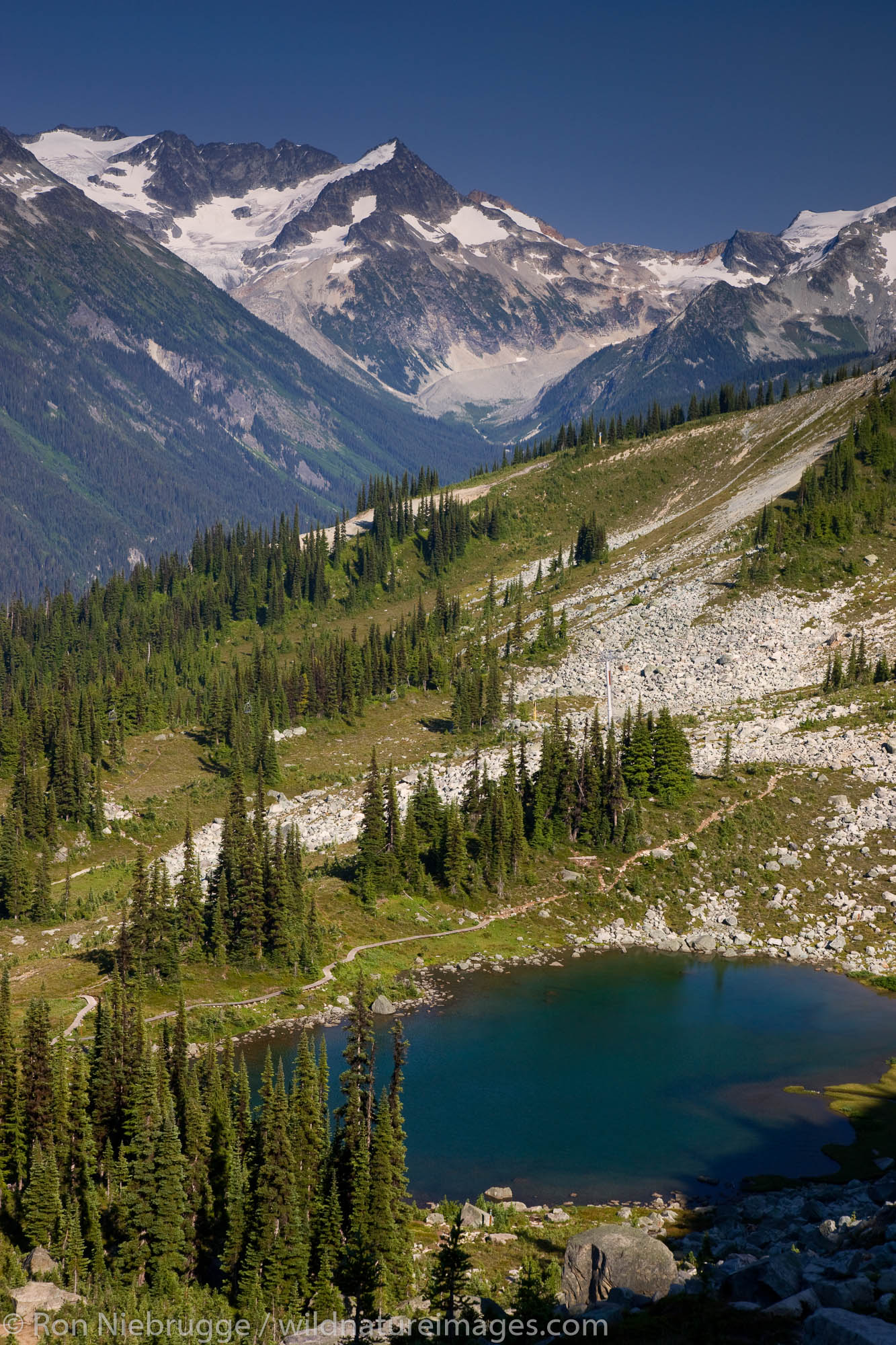 Views from the Harmony Lake Trail, Whistler Mountain, Whistler, British Columbia, Canada.