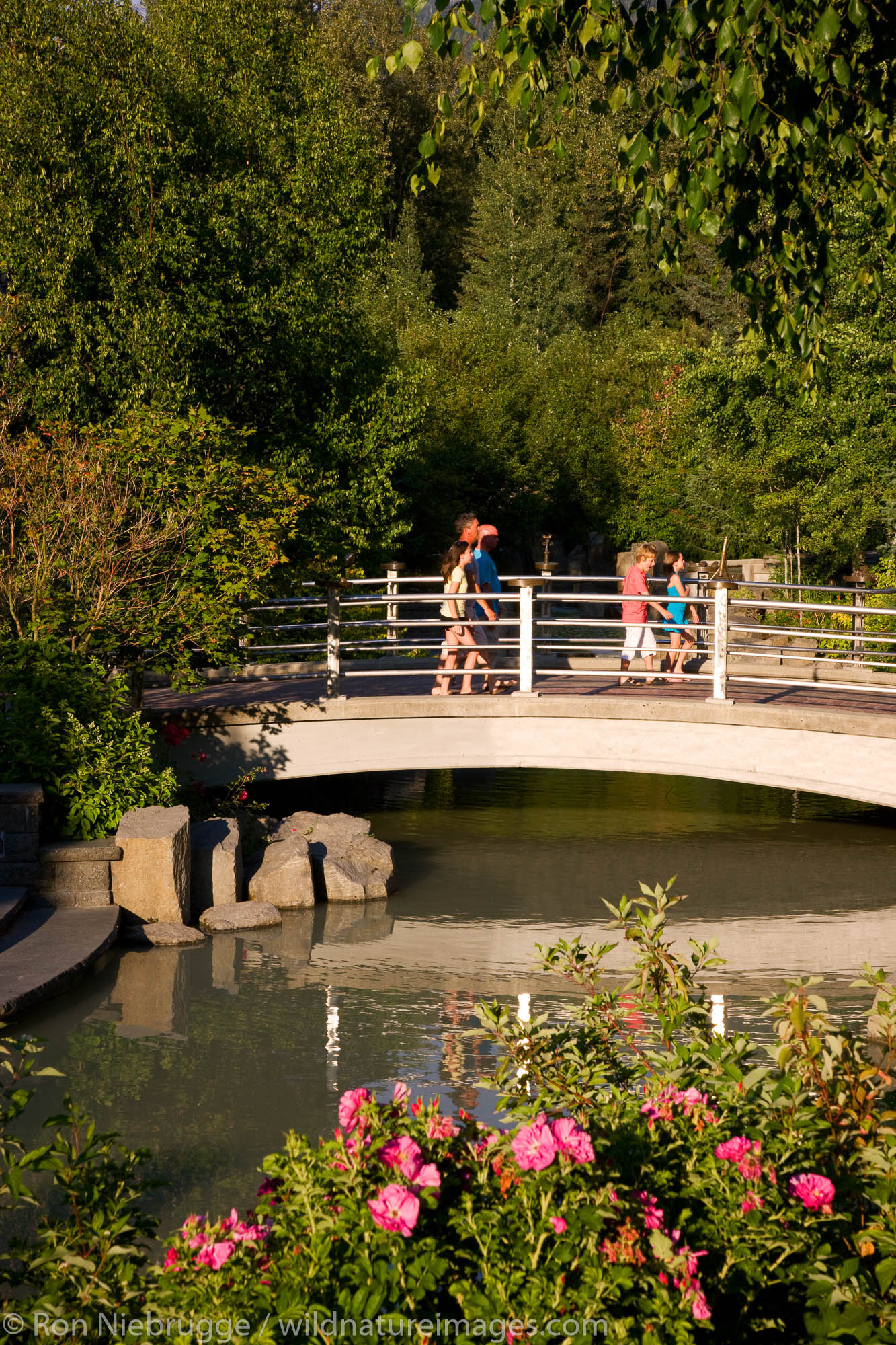 Creek flowing  through Whistler Village, Whistler, British Columbia, Canada.