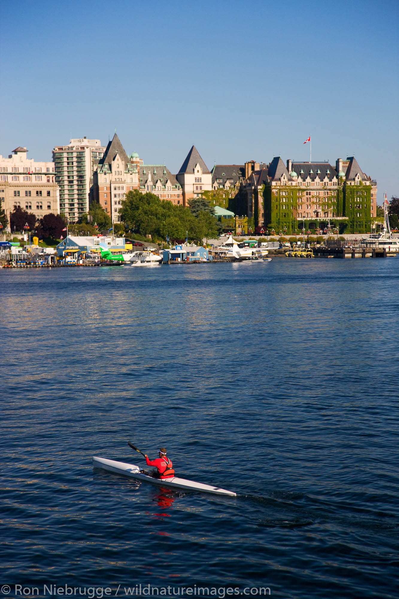 Kayaker in the Inner Harbour, Victoria, Vancouver Island, British Columbia, Canada.