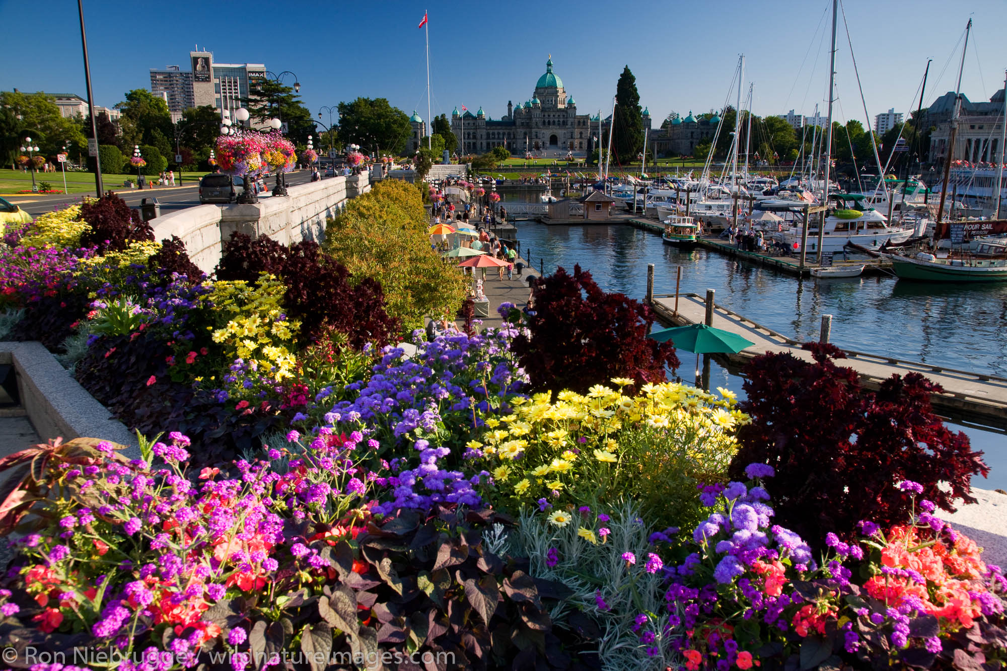 The Legislative or Parliament Buildings located on the Inner Harbour, Victoria, Vancouver Island, British Columbia, Canada.