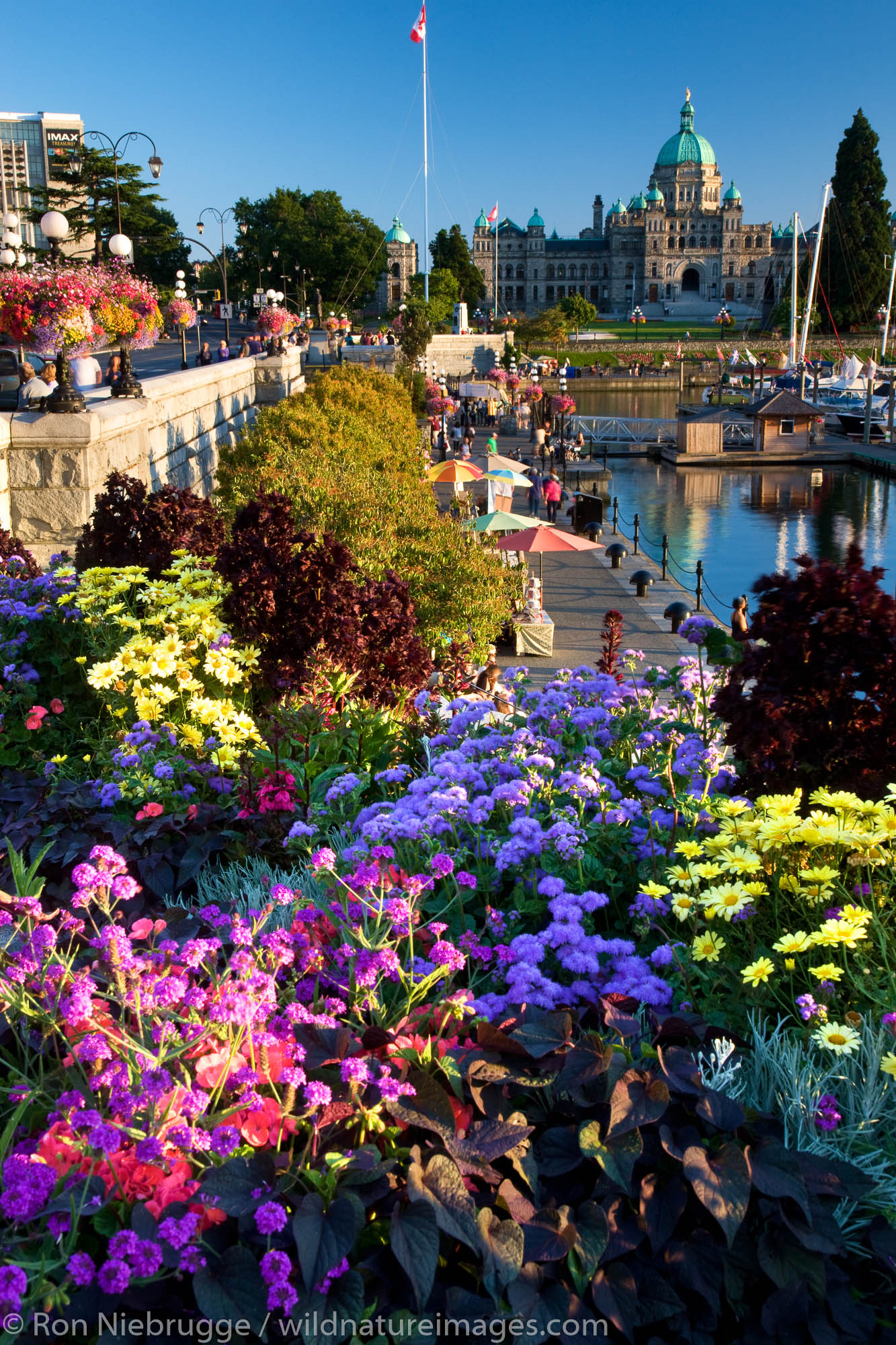 The Legislative or Parliament Buildings located on the Inner Harbour, Victoria, Vancouver Island, British Columbia, Canada.