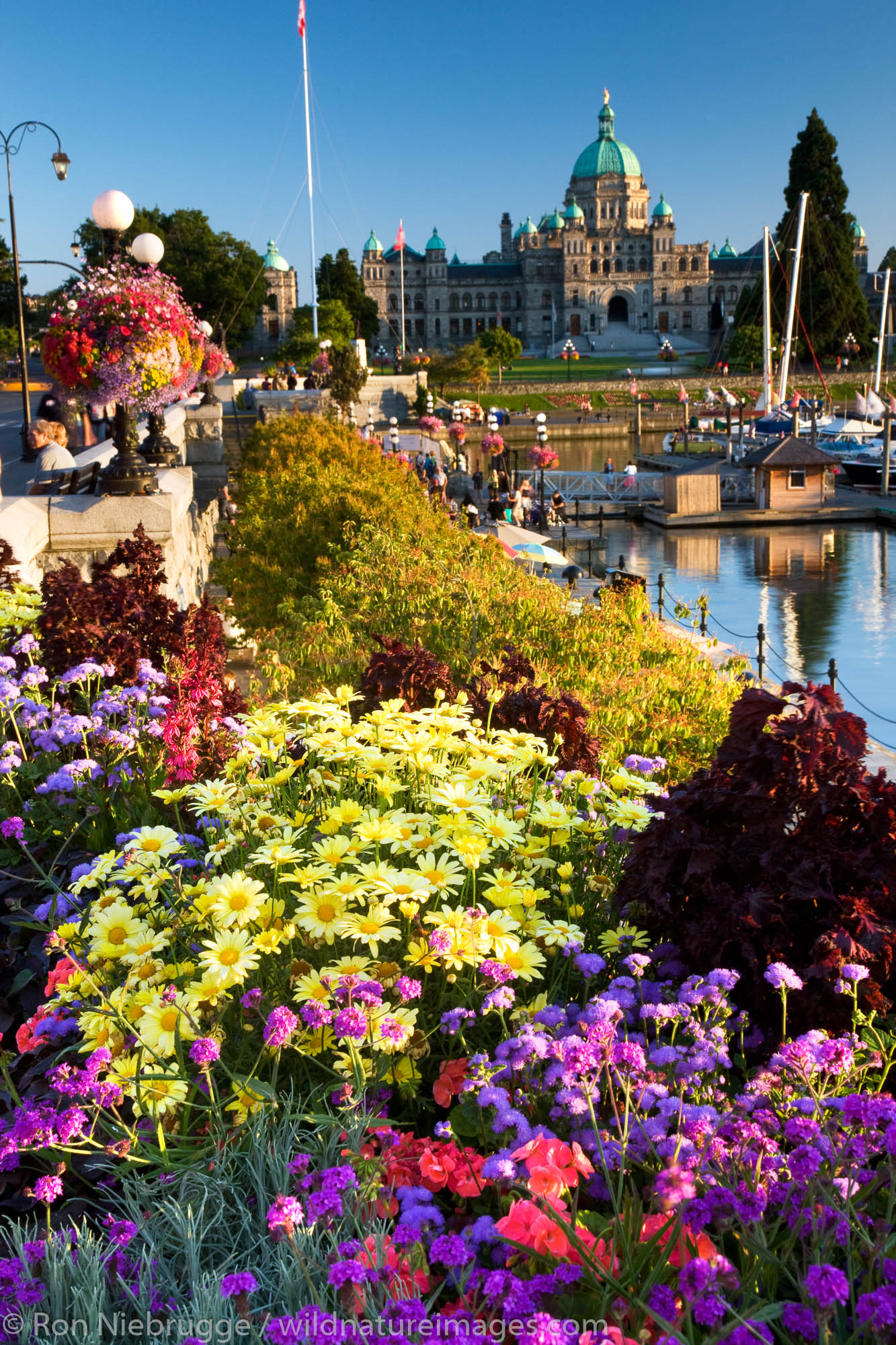 The Legislative or Parliament Buildings located on the Inner Harbour, Victoria, Vancouver Island, British Columbia, Canada.