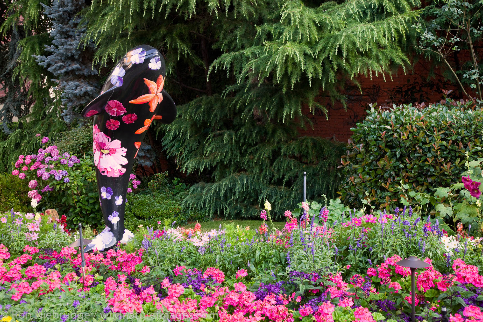 Flower gardens along the Inner Harbour, downtown Victoria, Vancouver Island, British Columbia, Canada