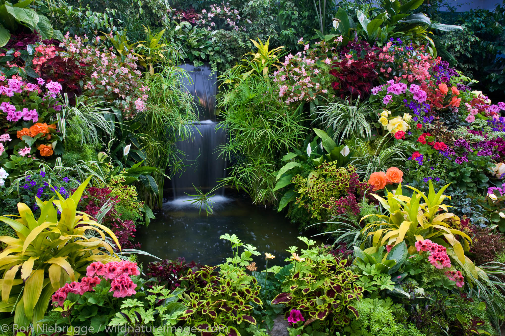 The Show Greenhouse at the Butchart Gardens, Victoria, Vancouver Island, British Columbia, Canada.