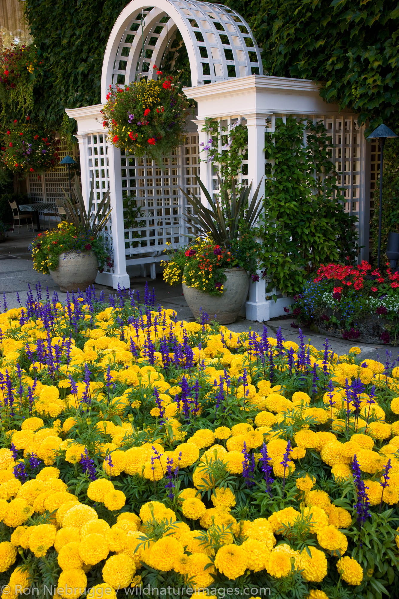 Italian Garden, The Butchart Gardens, Victoria, Vancouver Island, British Columbia, Canada.
