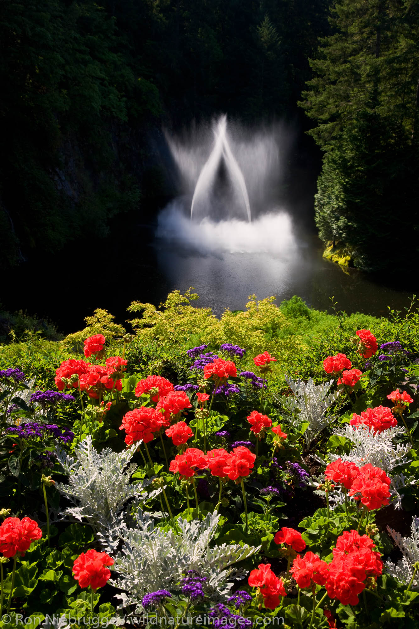 Ross Fountain at the Butchart Gardens, Victoria, Vancouver Island, British Columbia, Canada.