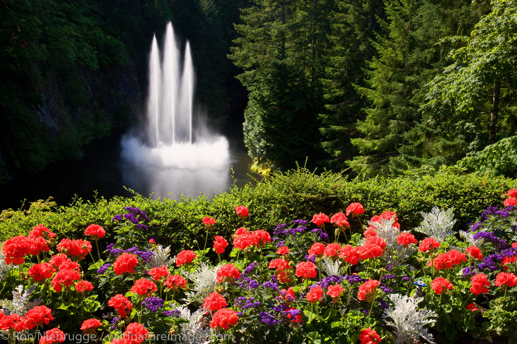 Ross Fountain at the Butchart Gardens, Victoria, Vancouver Island, British Columbia, Canada.