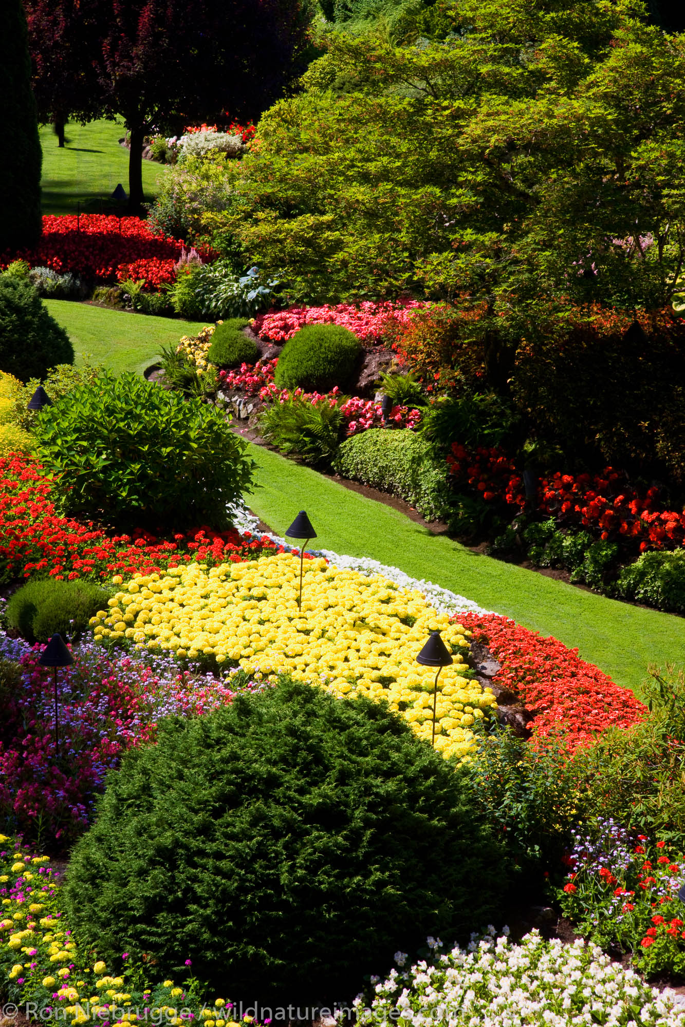Sunken Garden at the Butchart Gardens, Victoria, Vancouver Island, British Columbia, Canada.