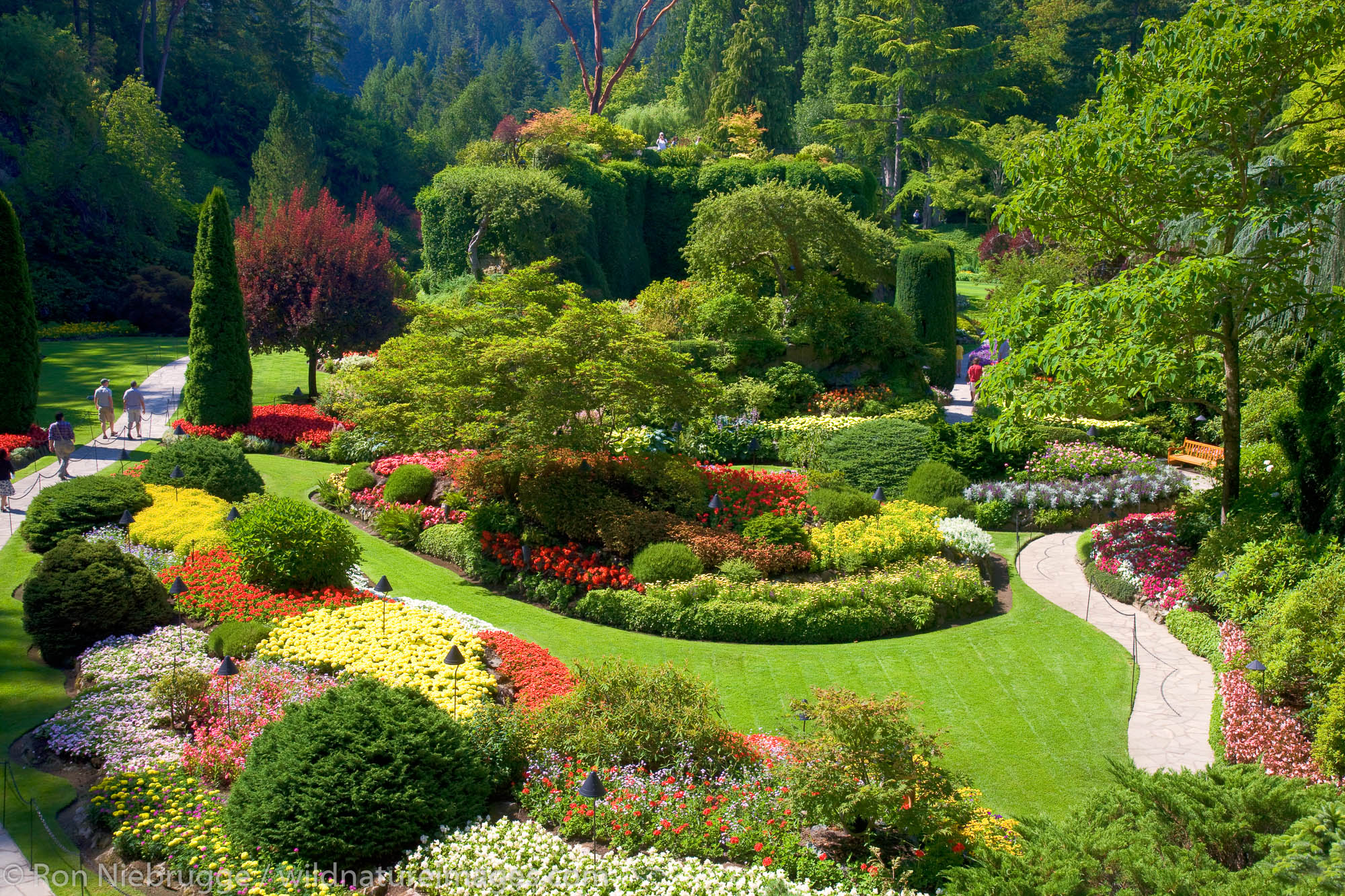 Sunken Garden at the Butchart Gardens, Victoria, Vancouver Island, British Columbia, Canada.