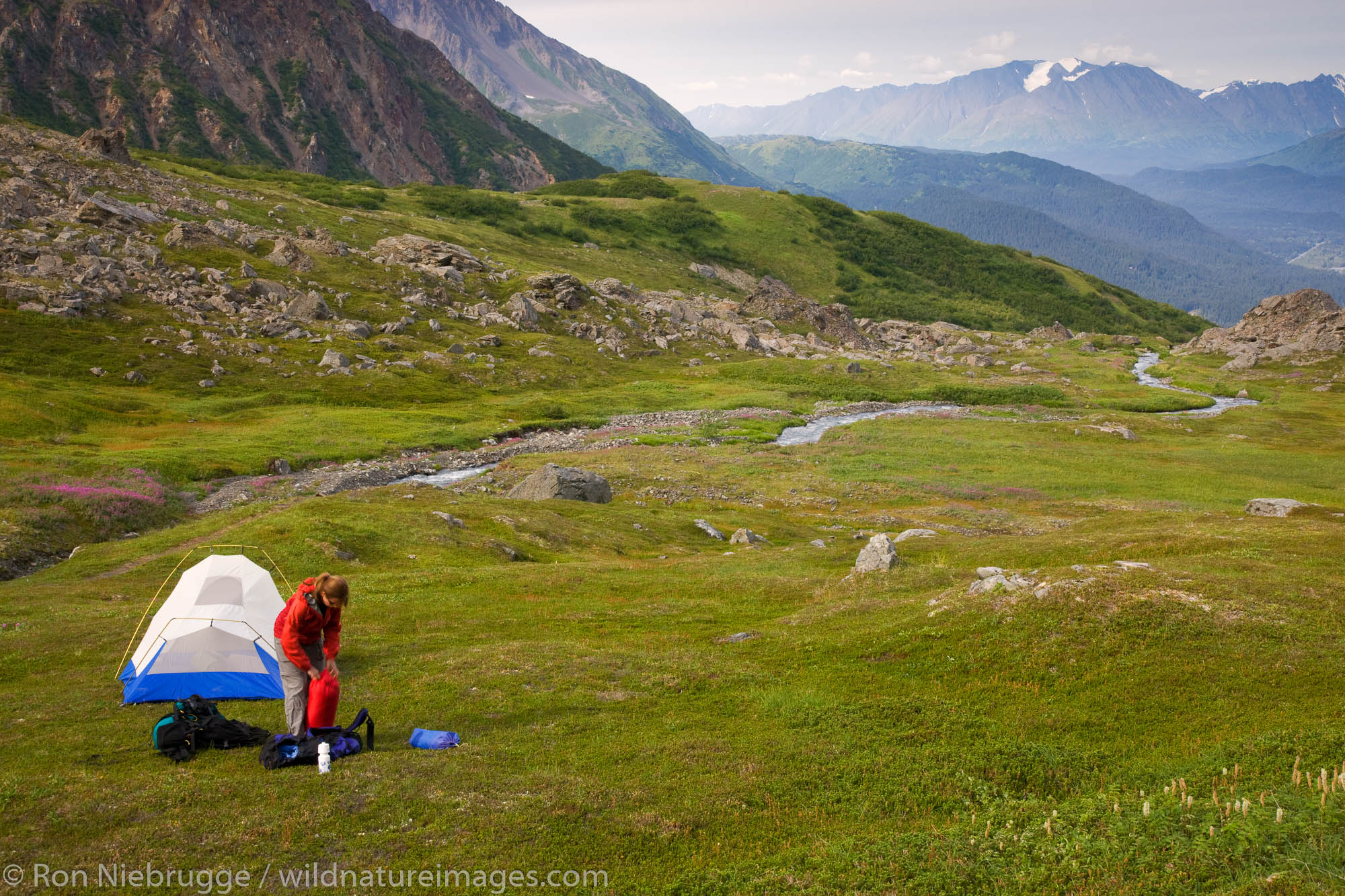 Camping on Mt. Marathon, Seward, Alaska.  (model released)