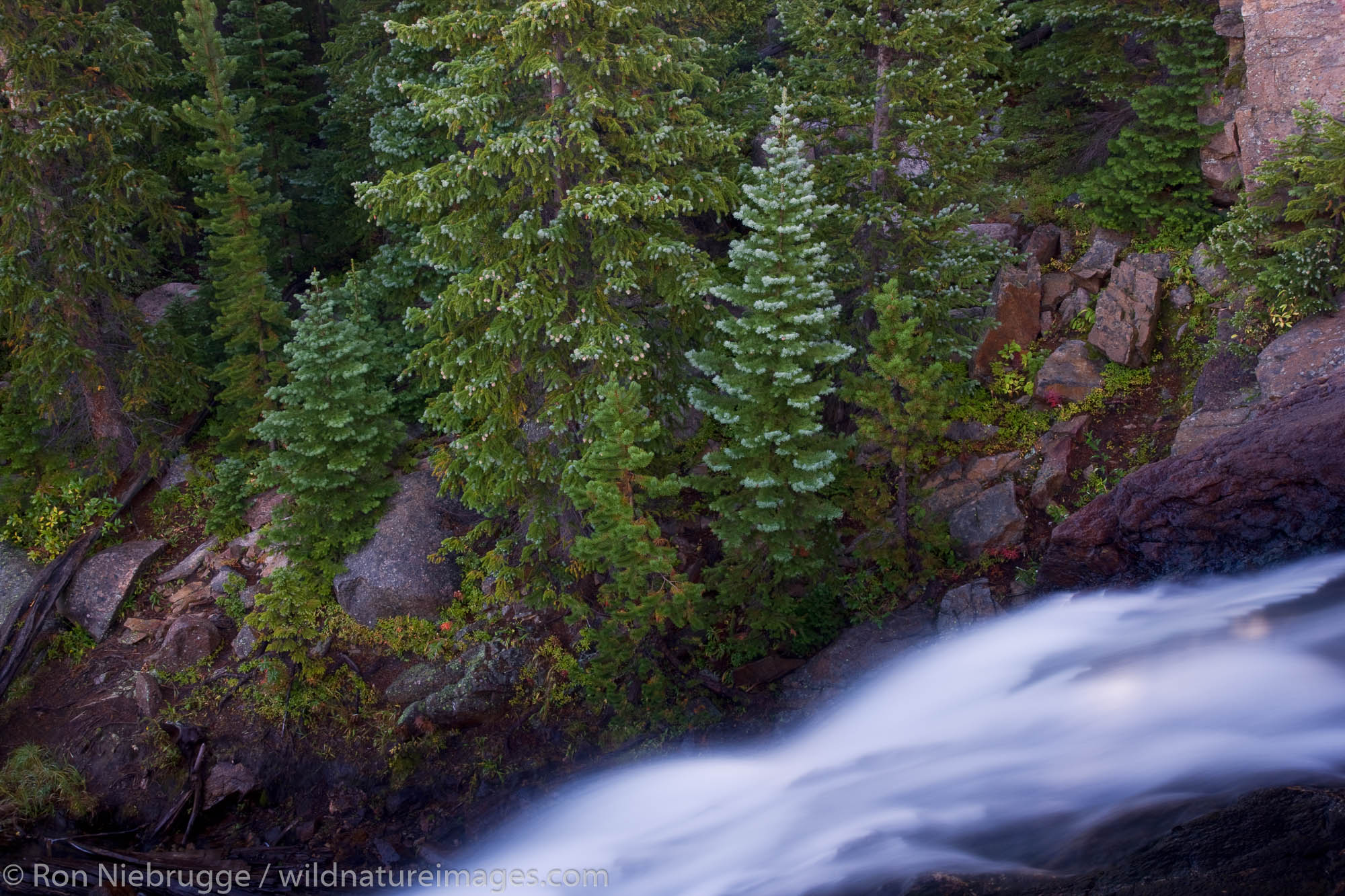 Alberta Falls, Rocky Mountain National Park, Colorado.