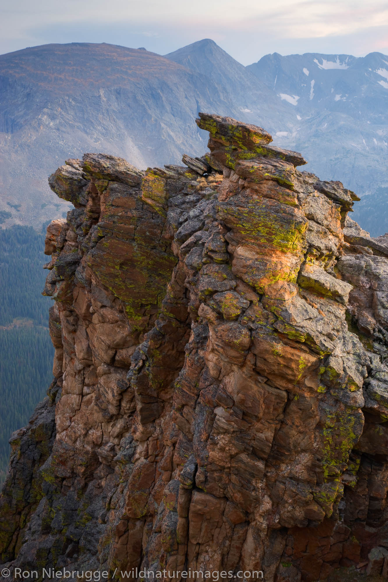 Rock Cut along Trail Ridge Road, Rocky Mountain National Park, Colorado.