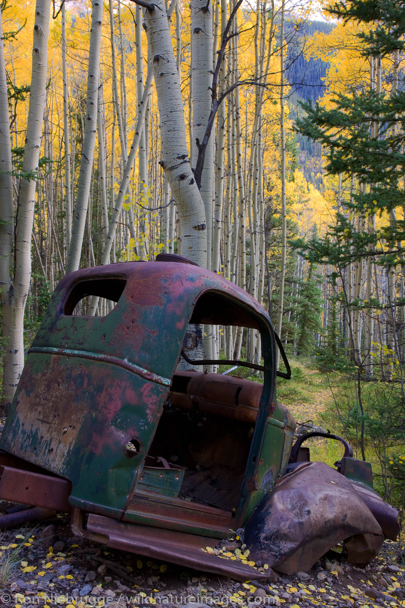 Old vehicle and Fall colors along Henson Creek Road to Engineer Pass, San Juan Mountains, Colorado.