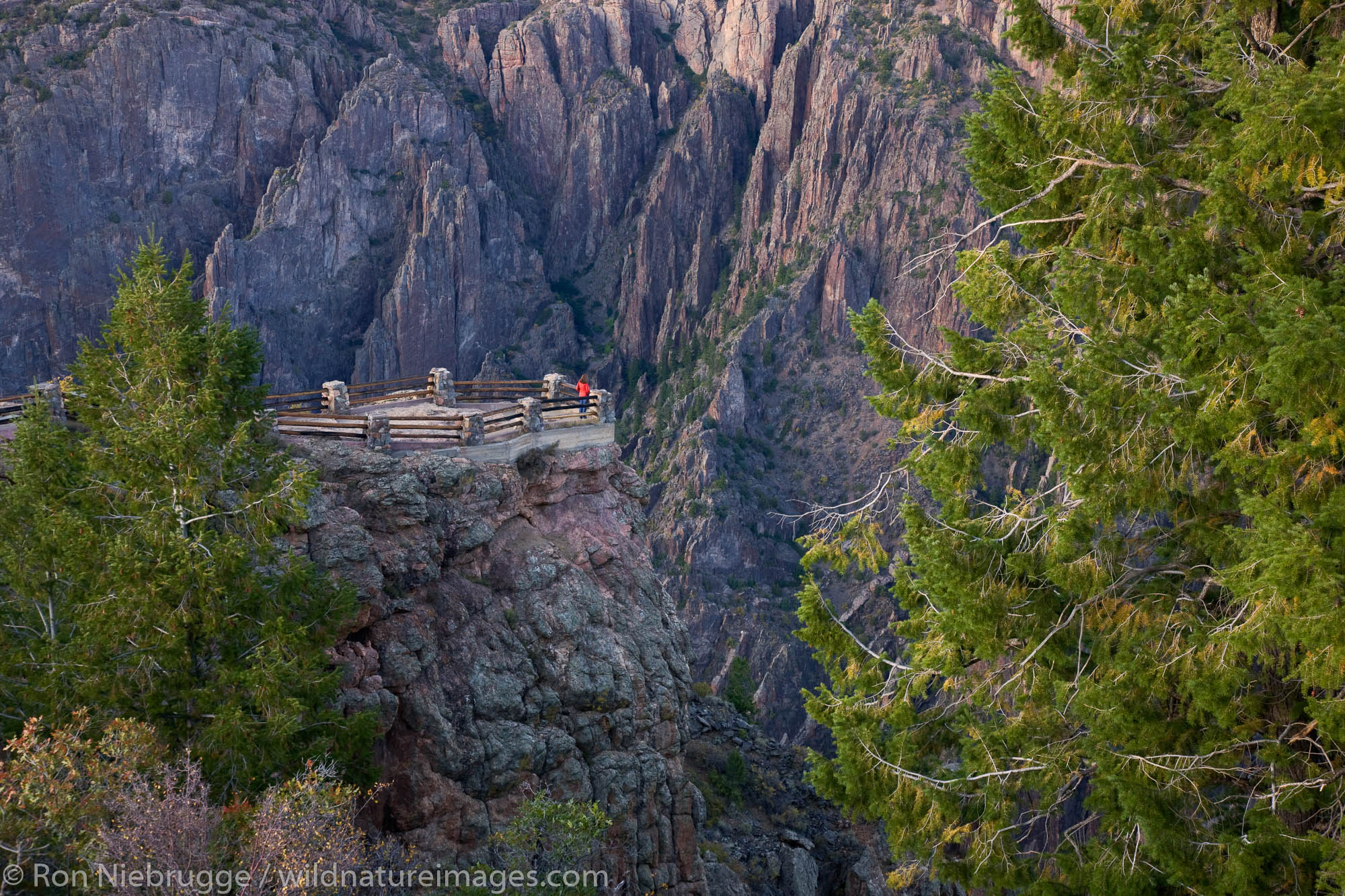 A hiker enjoys the viewpoint at Gunnison Point, Black Canyon of the Gunnison National Park, Colorado.  (model released)