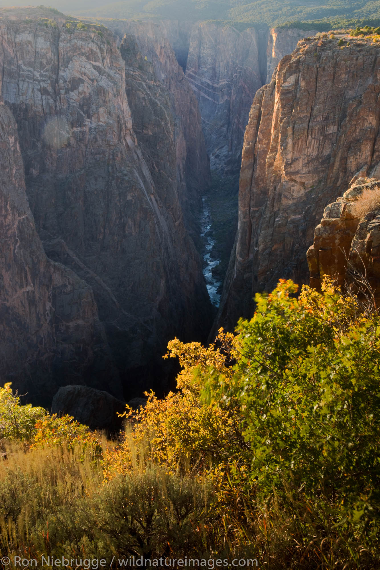 Black Canyon of the Gunnison National Park, North Rim, Colorado.