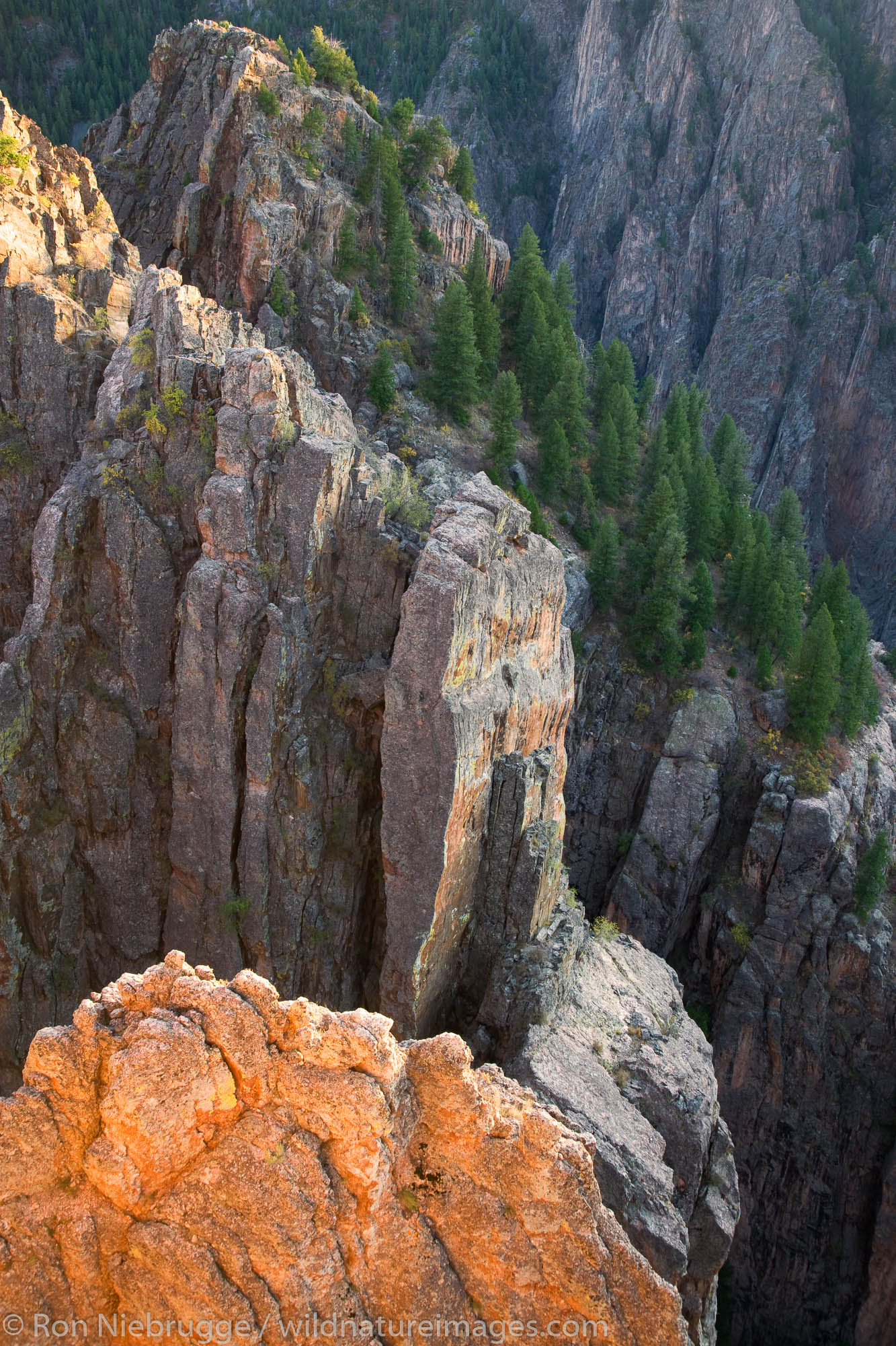 Viewpoint at Island Peaks View on the North Rim, Black Canyon of the Gunnison National Park, Colorado.