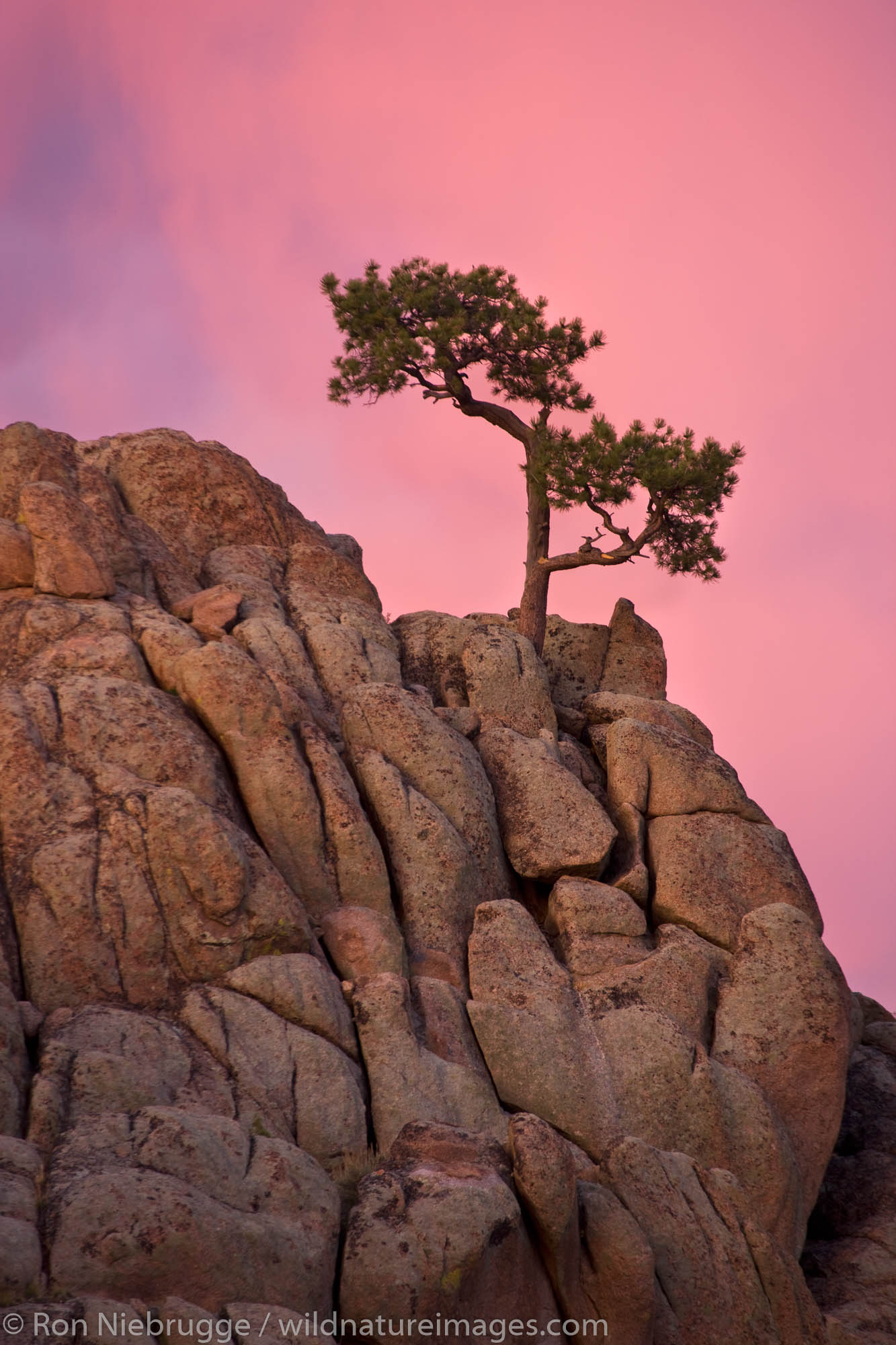 Hartman Rocks Recreation Area, Gunnison, Colorado.