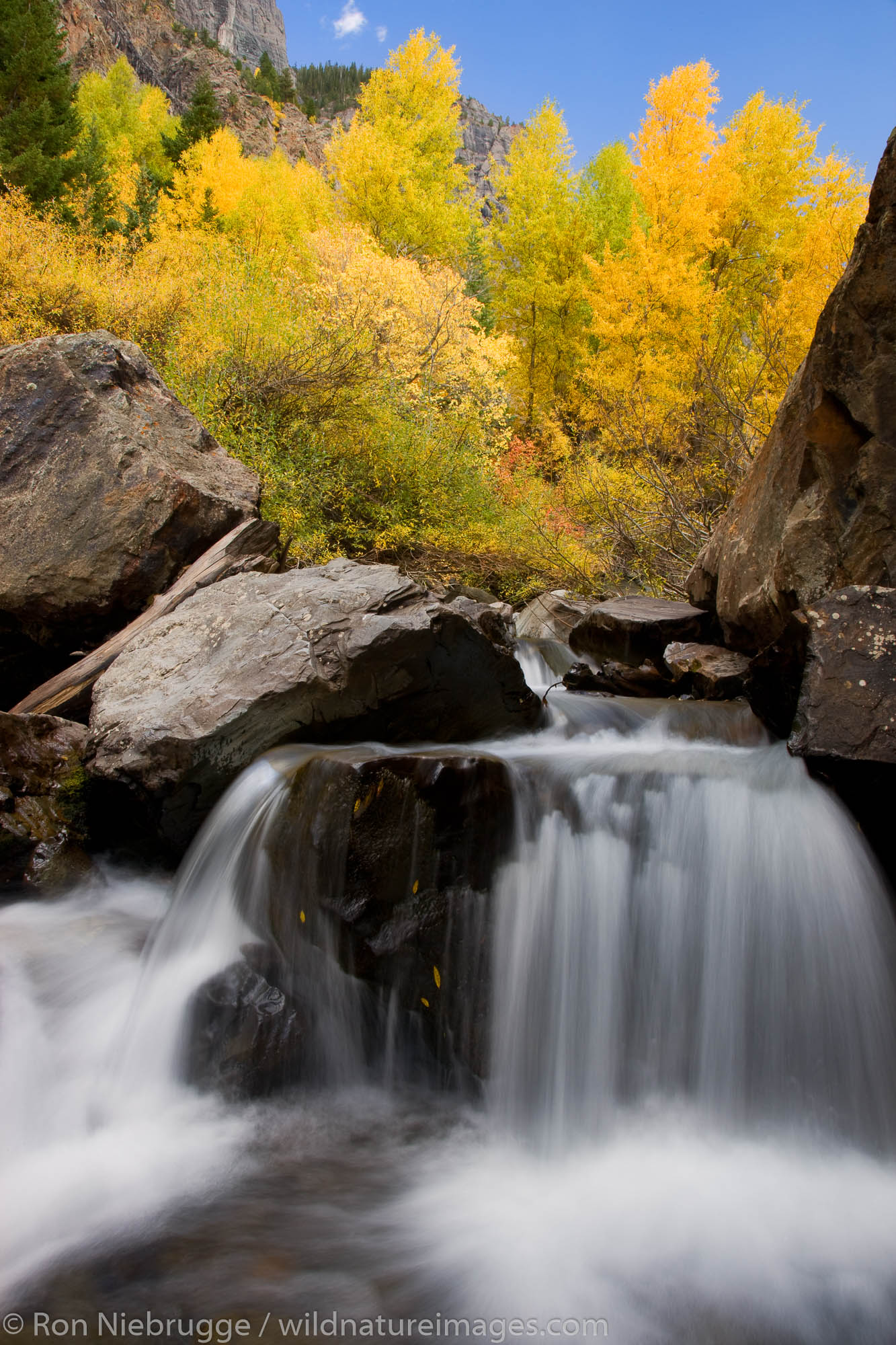 Autumn colors along Bear Creek in the San Juan Mountains, near Ouray, Colorado.