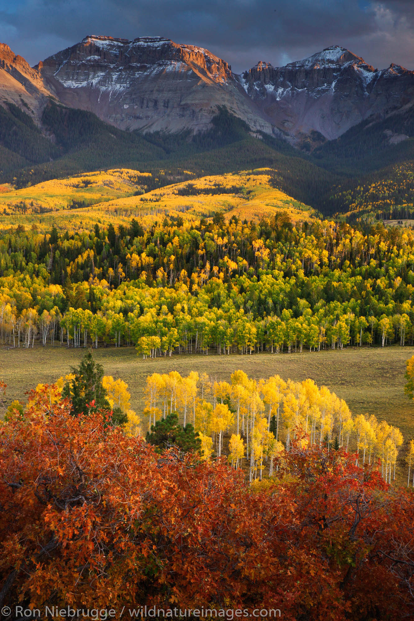 Autumn colors and the Sneffels Range, San Juan Mountains, Colorado.
