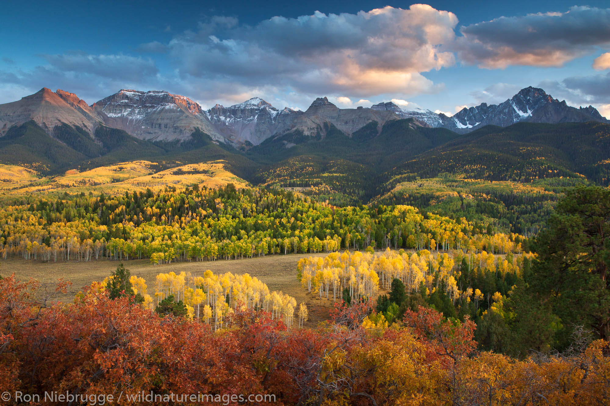 Autumn colors and the Sneffels Range, San Juan Mountains, Colorado.