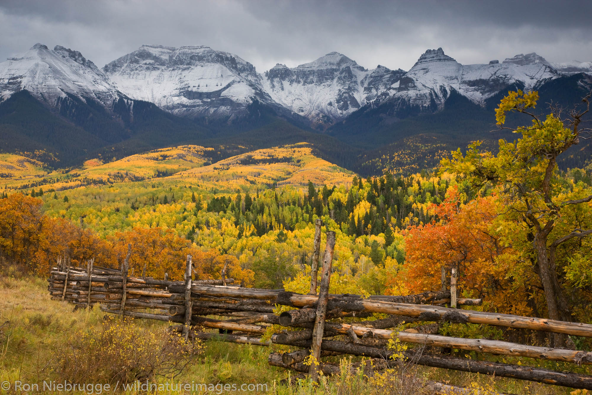 Autumn colors and the Sneffels Range, San Juan Mountains, Colorado.