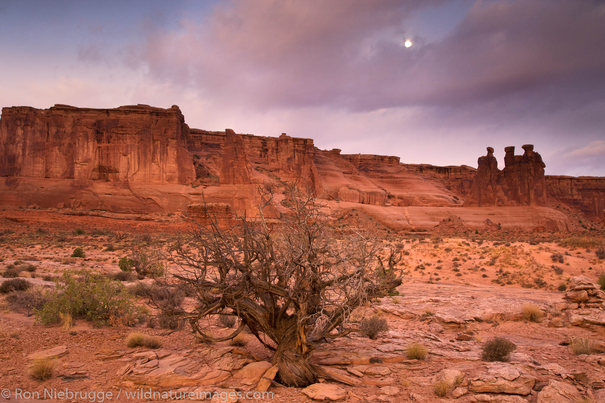 TheThree Gossips in Courthouse Towers area, Arches National Park, Moab, Utah.