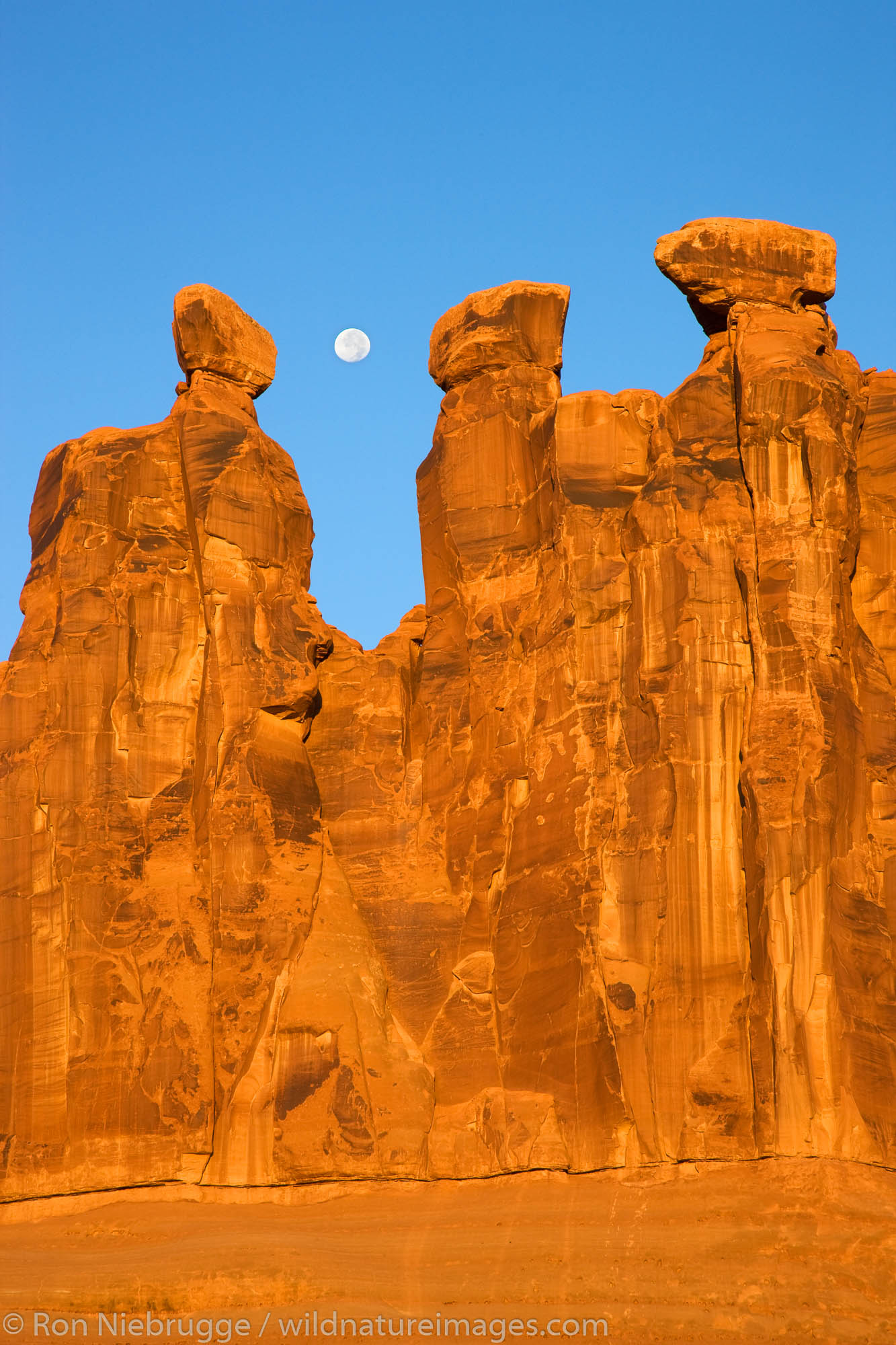 Near full moon along with the Three Gossips, Arches National Park, near Moab, Utah.