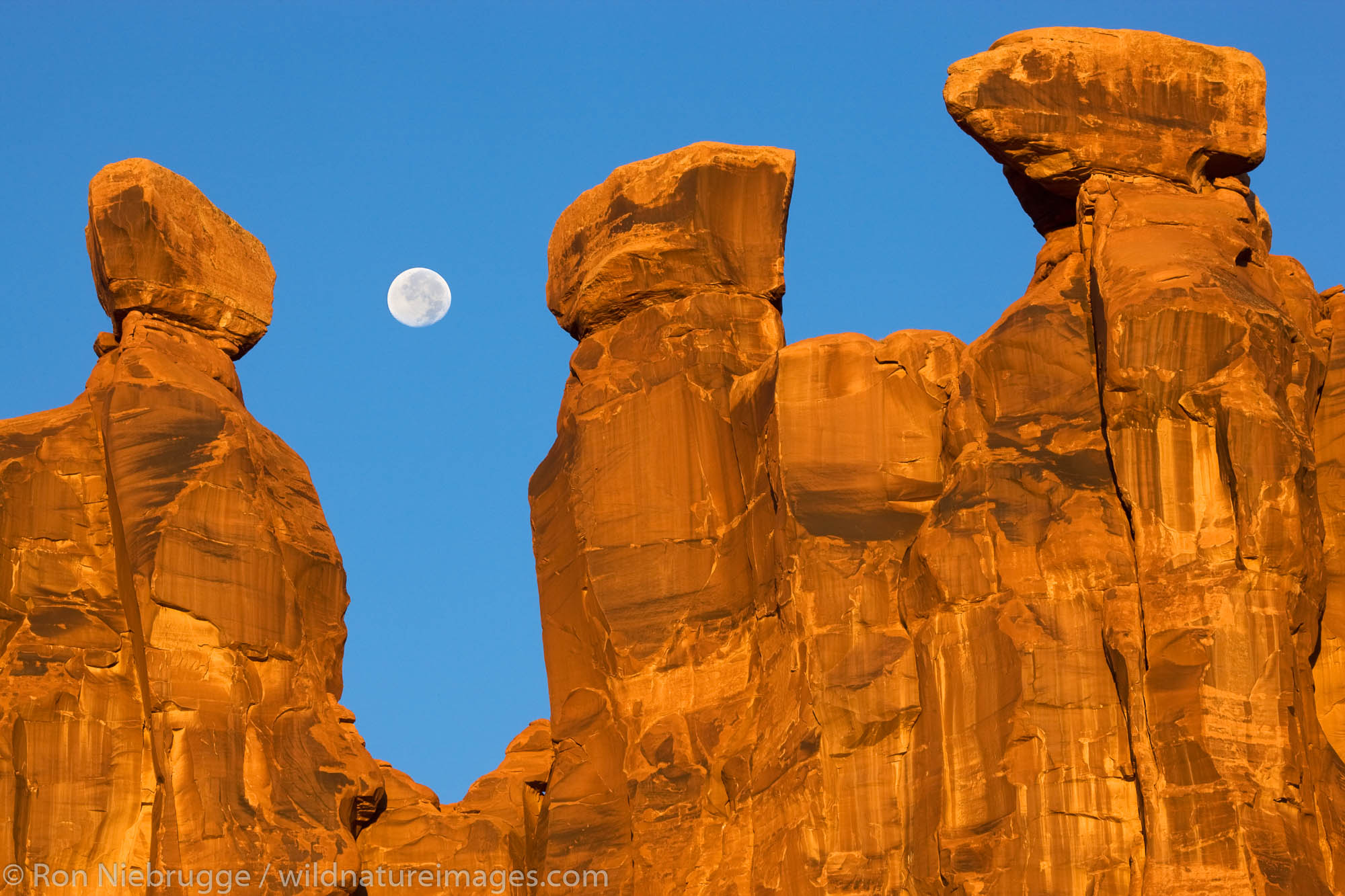 Near full moon along with the Three Gossips, Arches National Park, near Moab, Utah.