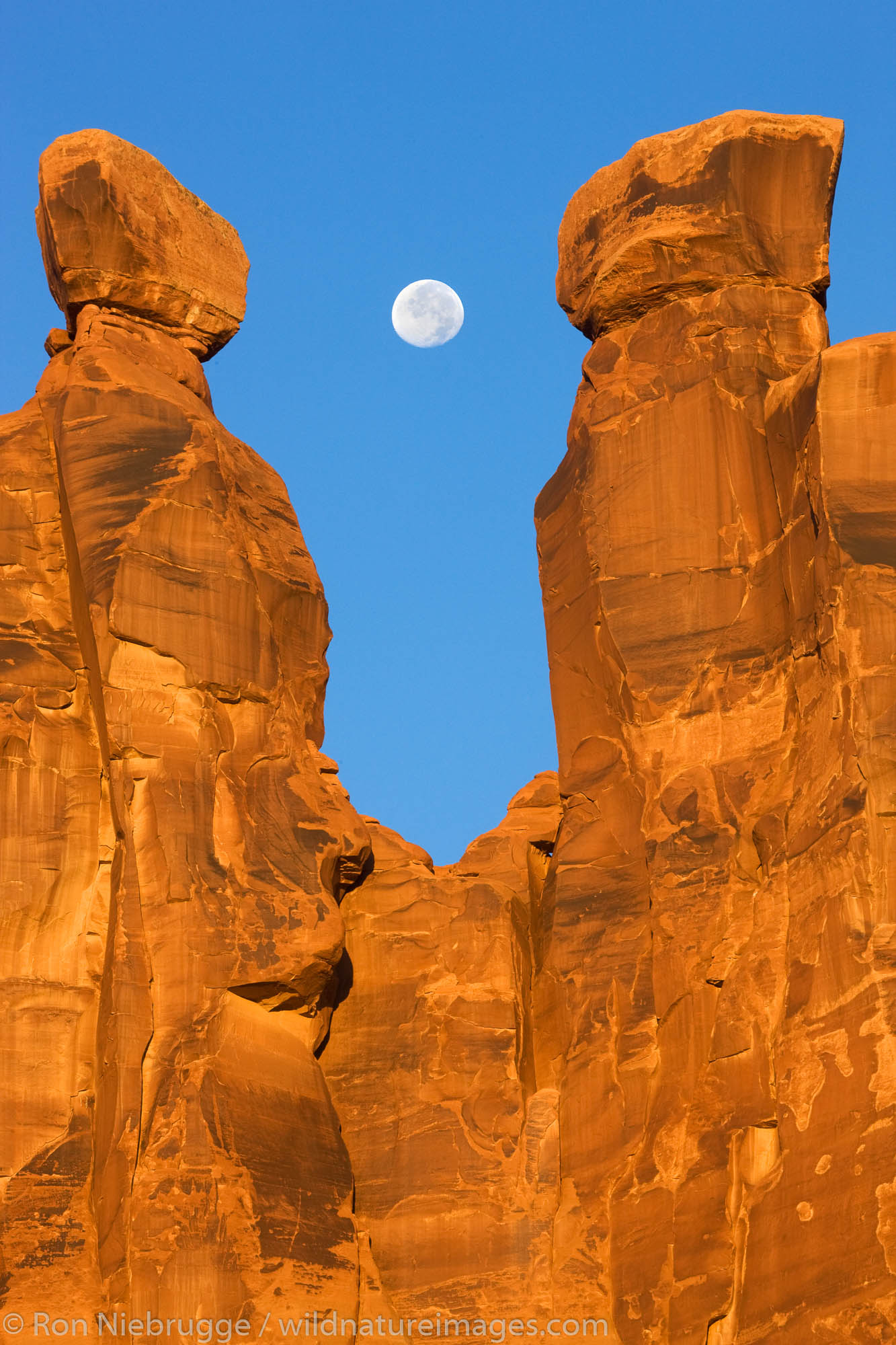 Near full moon along with the Three Gossips, Arches National Park, near Moab, Utah.