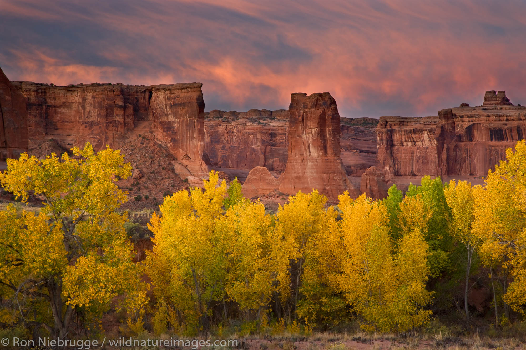 Courthouse Wash, Arches National Park, near Moab, Utah.