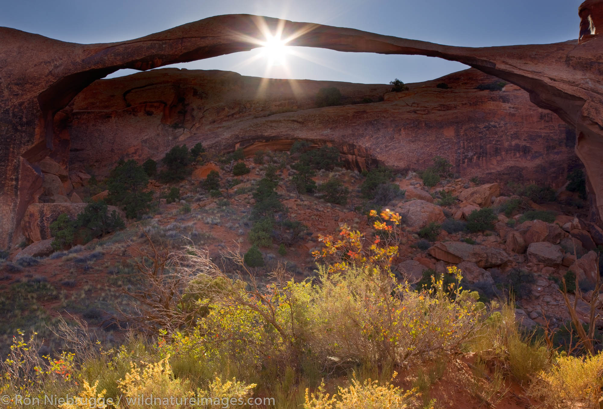 Landscape Arch, Devils Garden, Arches National Park, Moab, Utah.