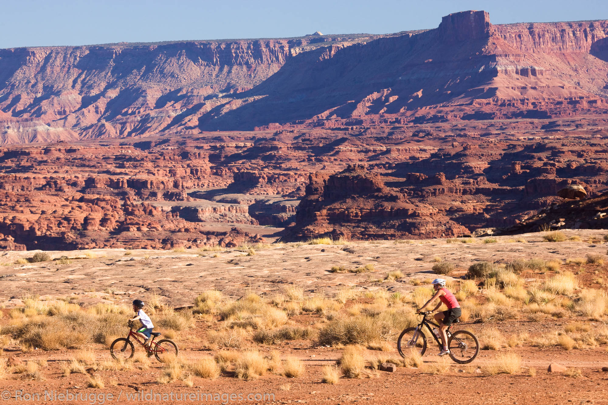 Mountain biking on the White Rim Trail, Island in the Sky District, Canyonlands National Park, near Moab, Utah.