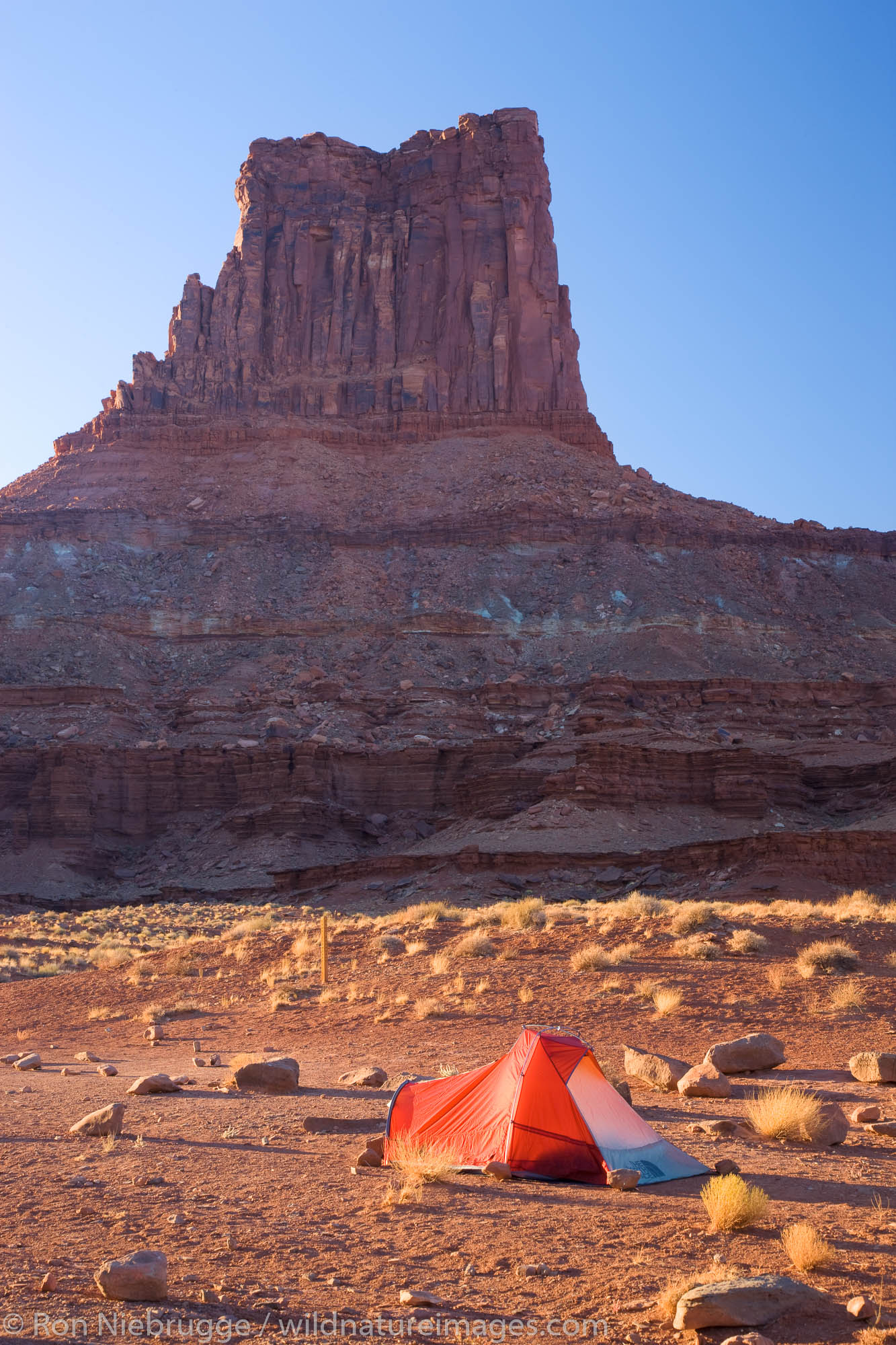 Camping along the White Rim Trail at the Airport Campground, Islands in the Sky District, Canyonlands National Park, near Moab...