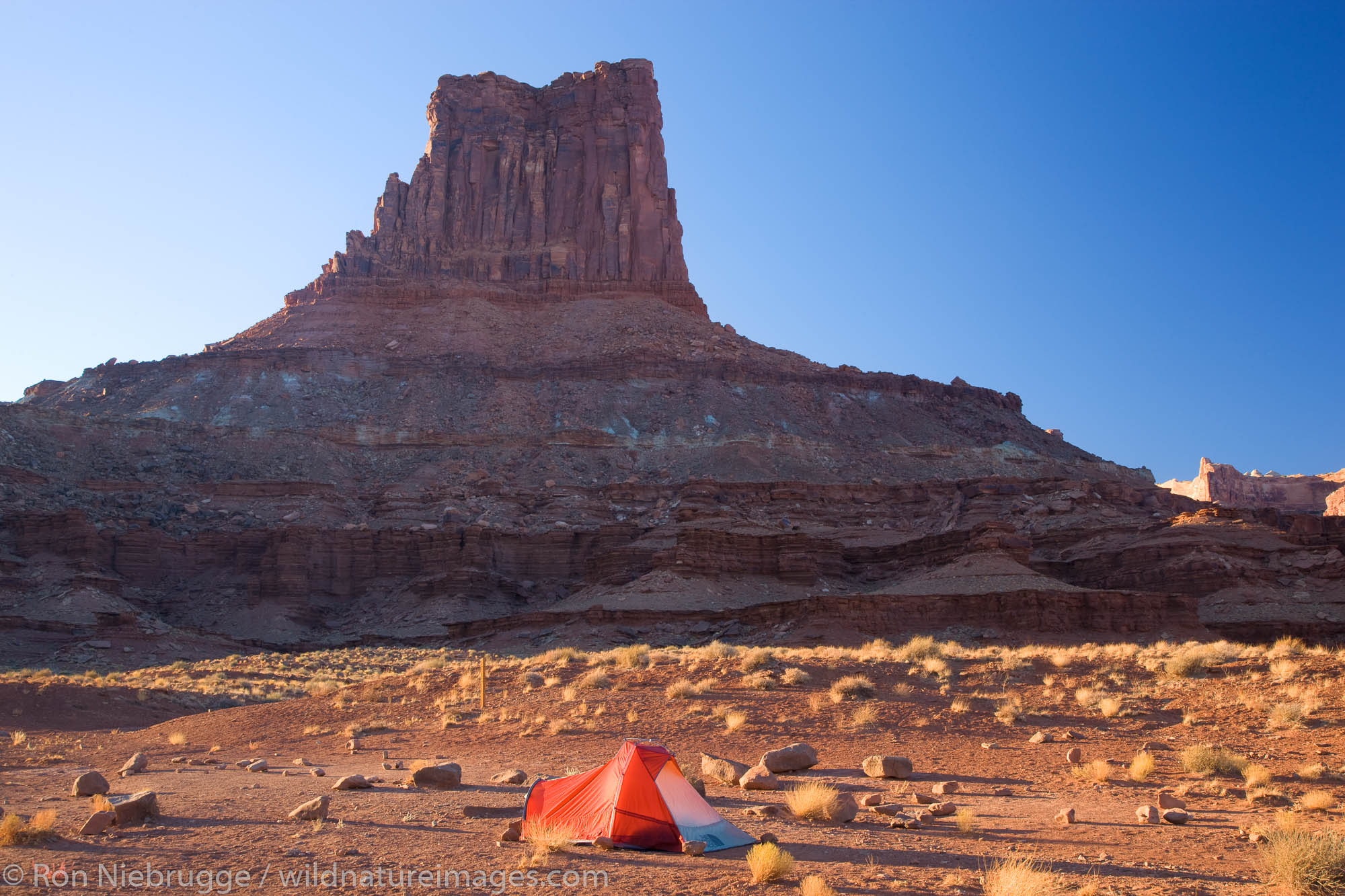 Camping along the White Rim Trail at the Airport Campground, Islands in the Sky District, Canyonlands National Park, near Moab...
