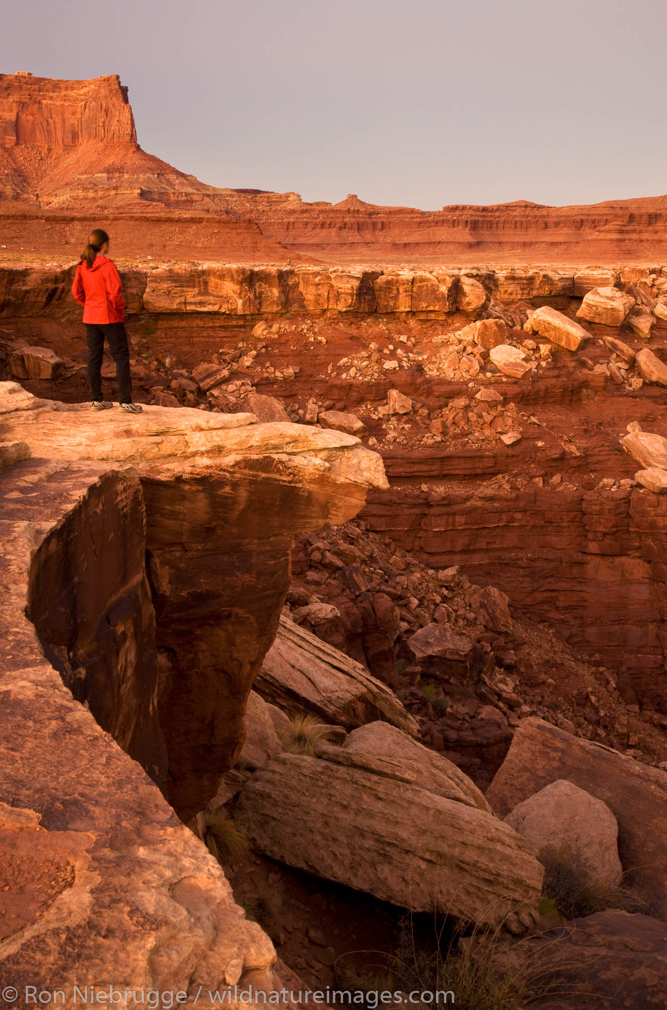 Hiker looks into the canyon along the White Rim Trail, Island in the Sky District, Canyonlands National Park, near Moab, Utah...