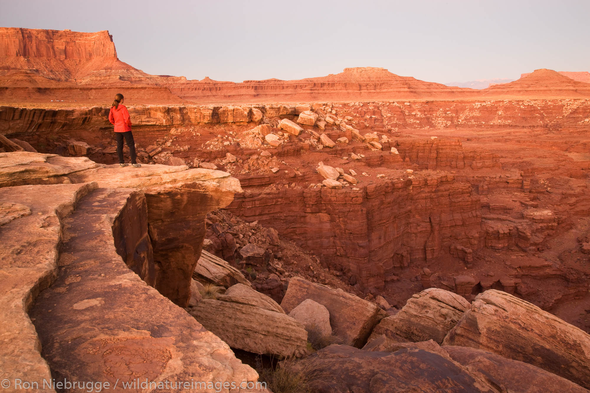 Hiker looks into the canyon along the White Rim Trail, Island in the Sky District, Canyonlands National Park, near Moab, Utah...