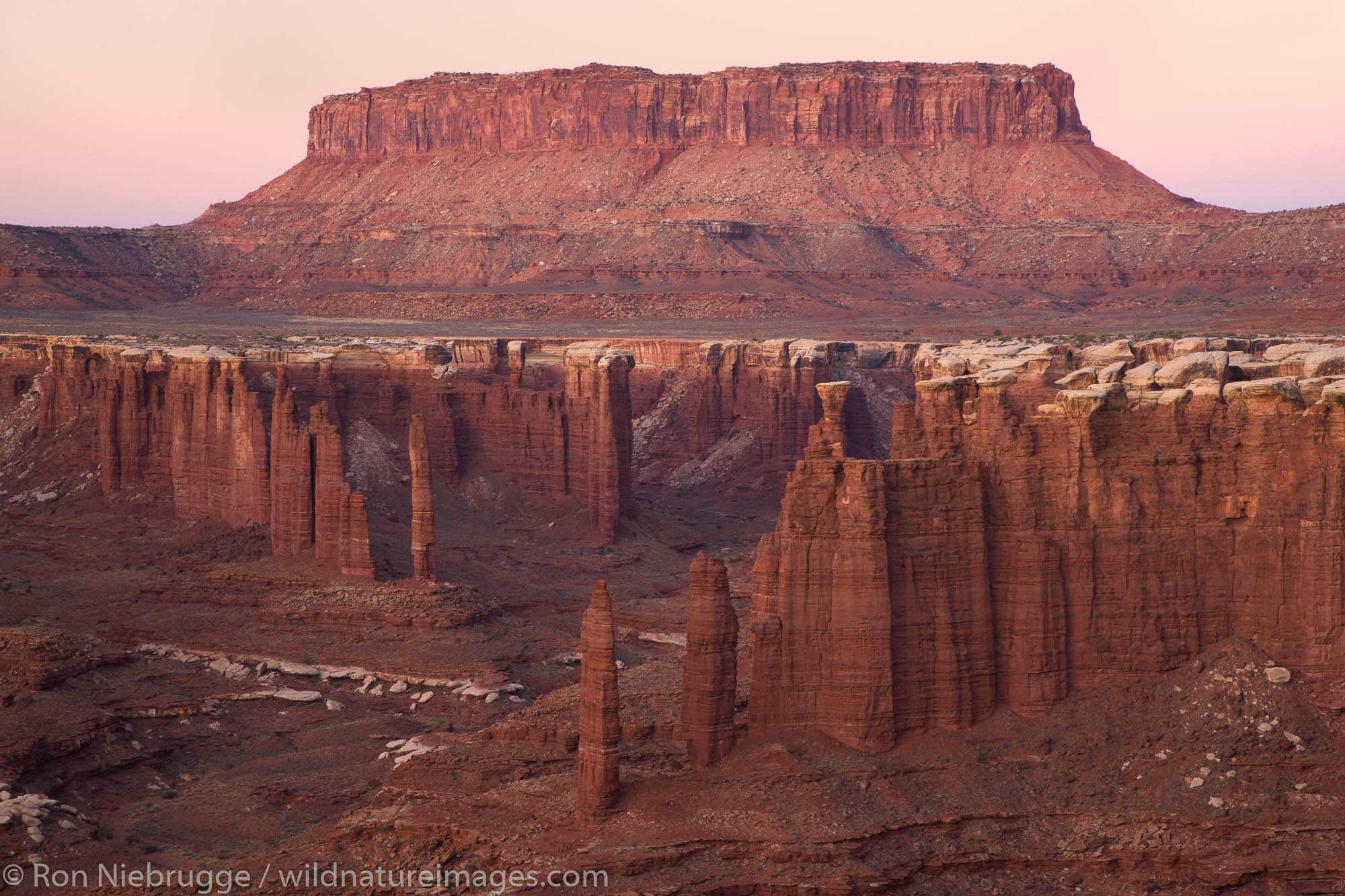 Monument Basin, along the White Rim Trail, Island in the Sky District, Canyonlands National Park, near Moab, Utah.